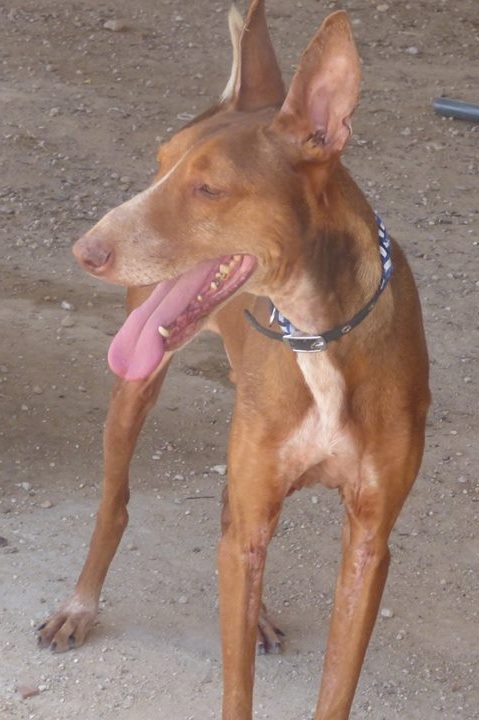 diego.jpg