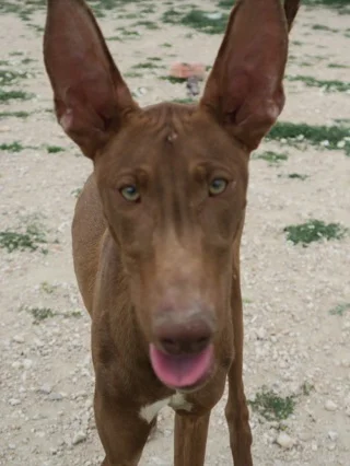 31541024_Unknown.jpg