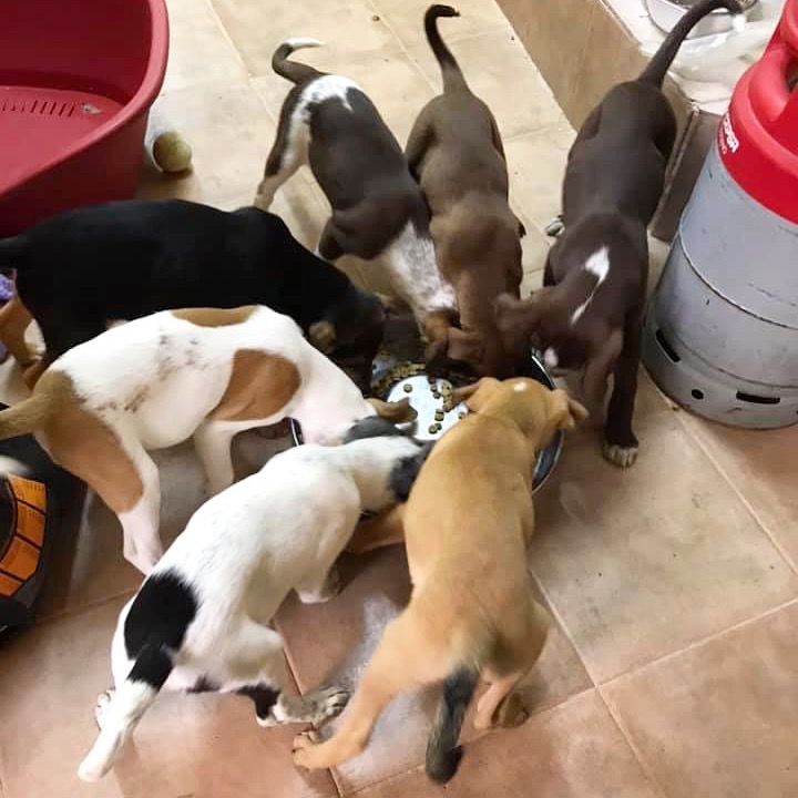 Feeding time 29/1/19