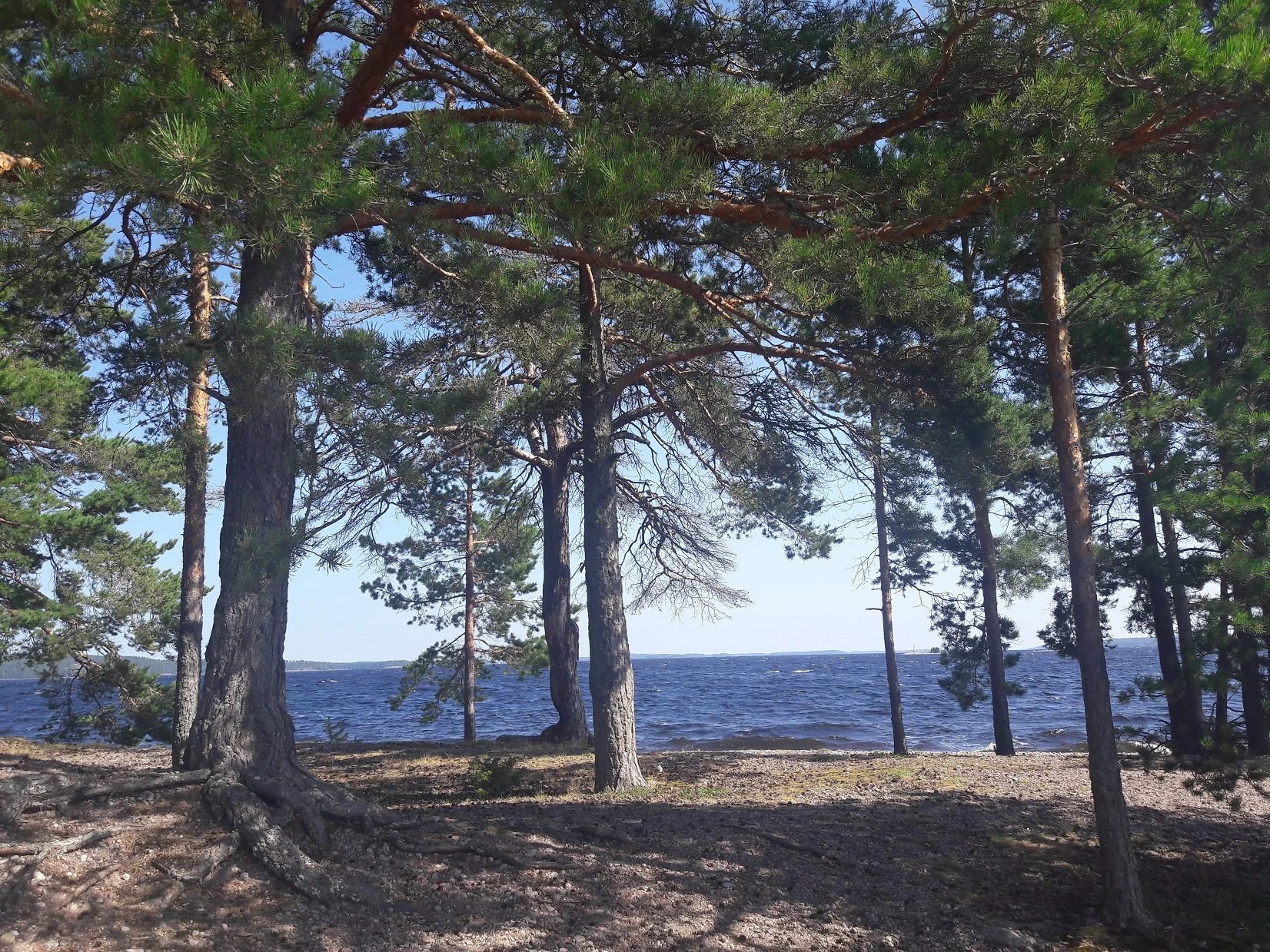 Saimaalla