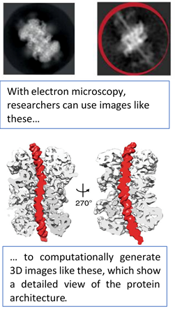 structural biology imperial college