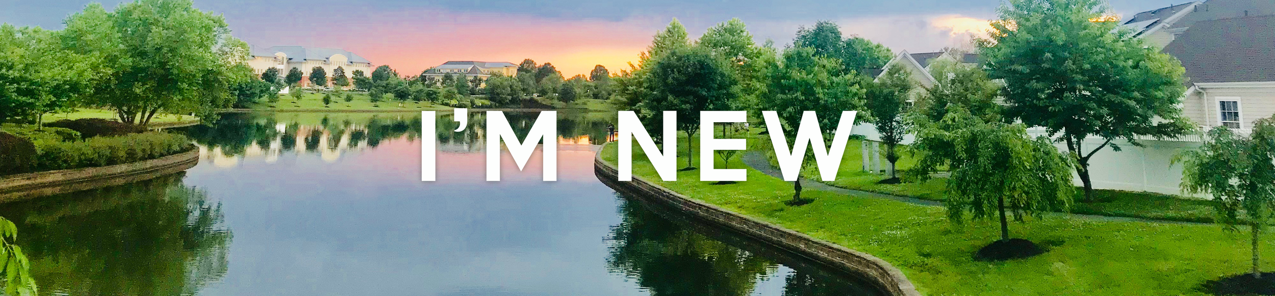 I'm+New+Banner.png