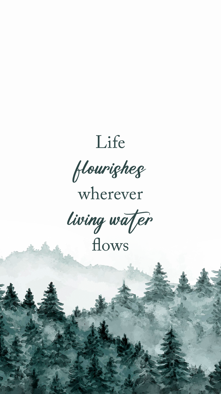 Downloads Lifetree Community Church