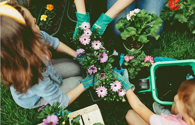 Five Ways to Kick-Start an Eco-friendly Lifestyle