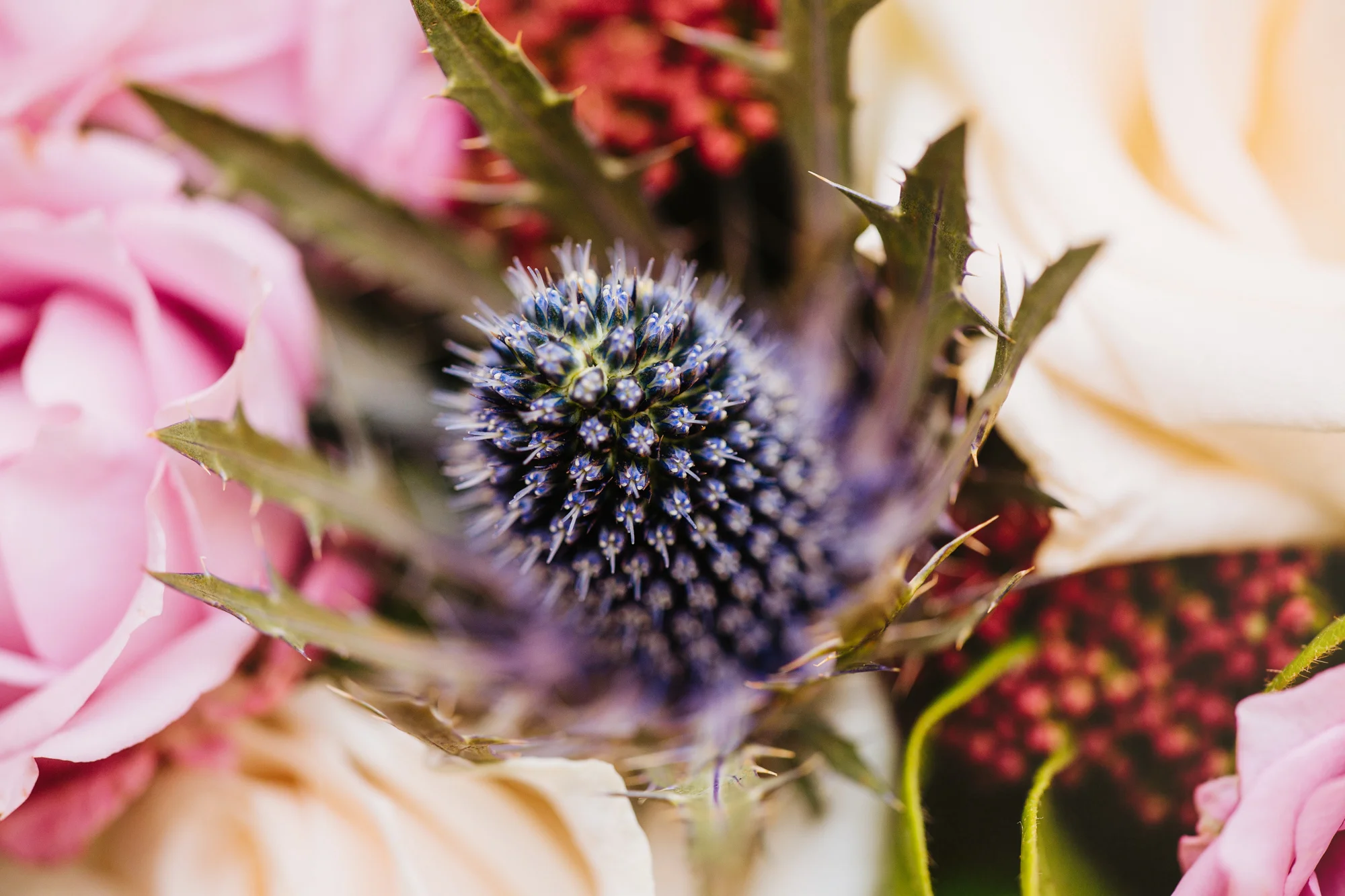 Memento_Wedding_Photography_Invercarse_Dundee-19.jpg