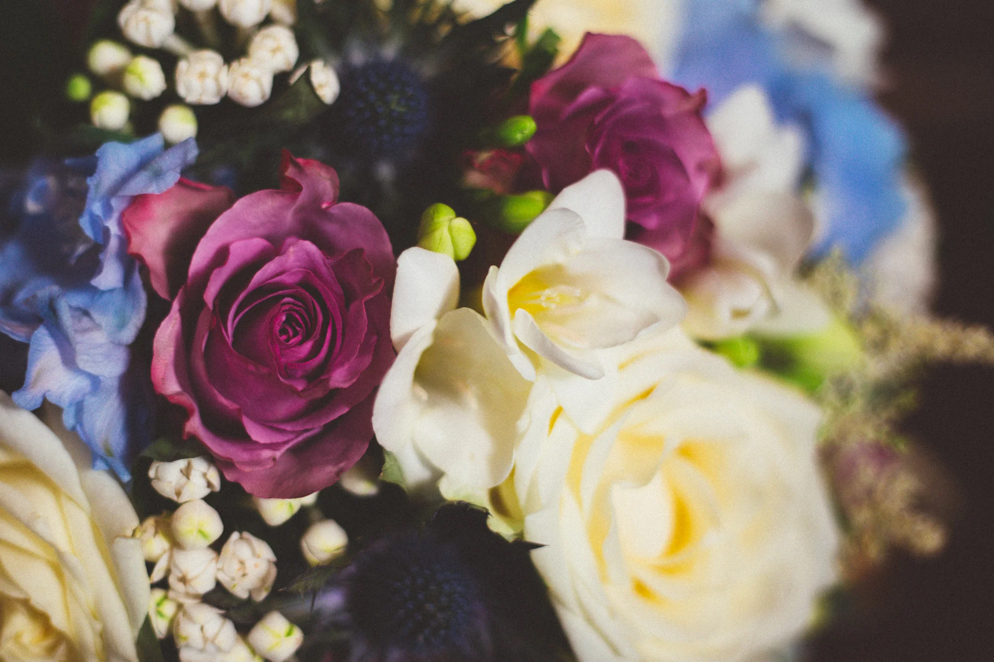 kirsty_brown_photography-7.jpg