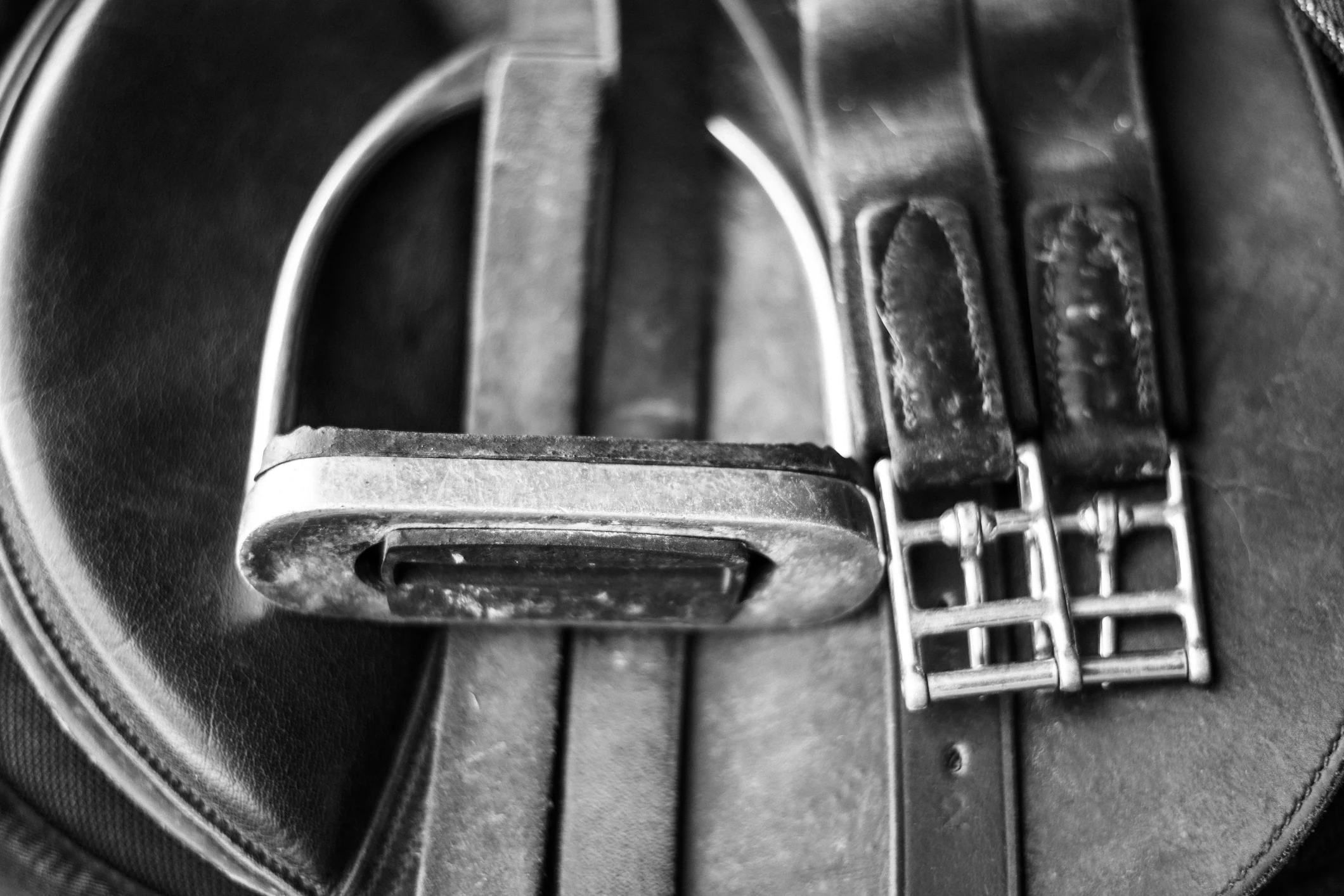 Saddle Fitting; It Is Not Just About The Horse!