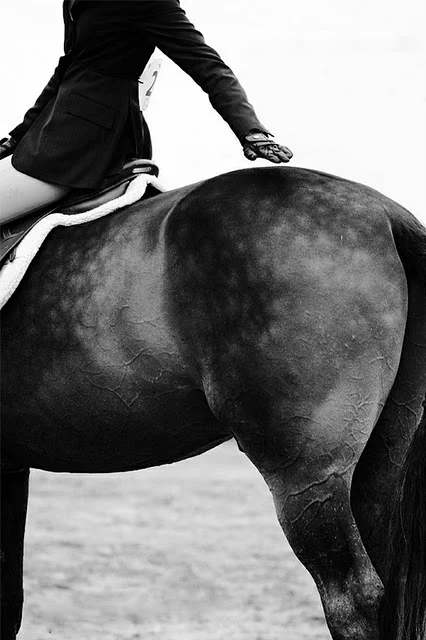 2af67845ac4414987d4c4f625f2f8deb.jpg