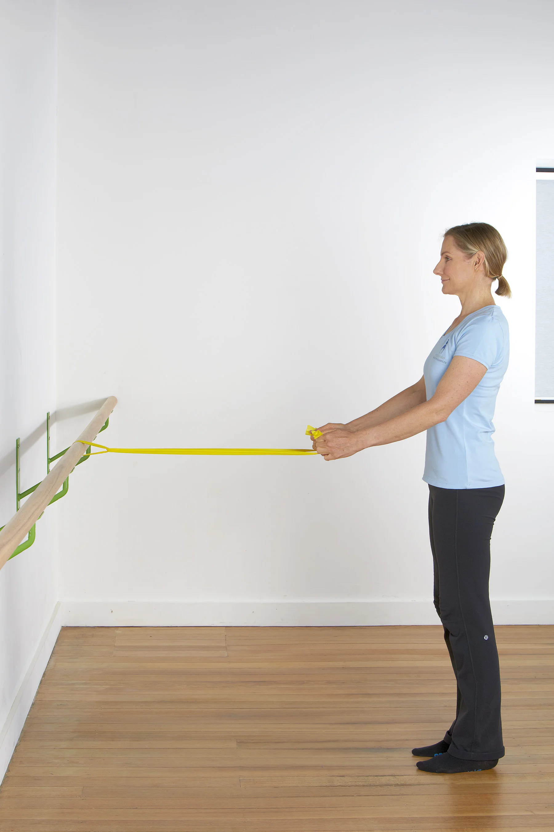 STANDING THERA REINS AWAY1.jpg