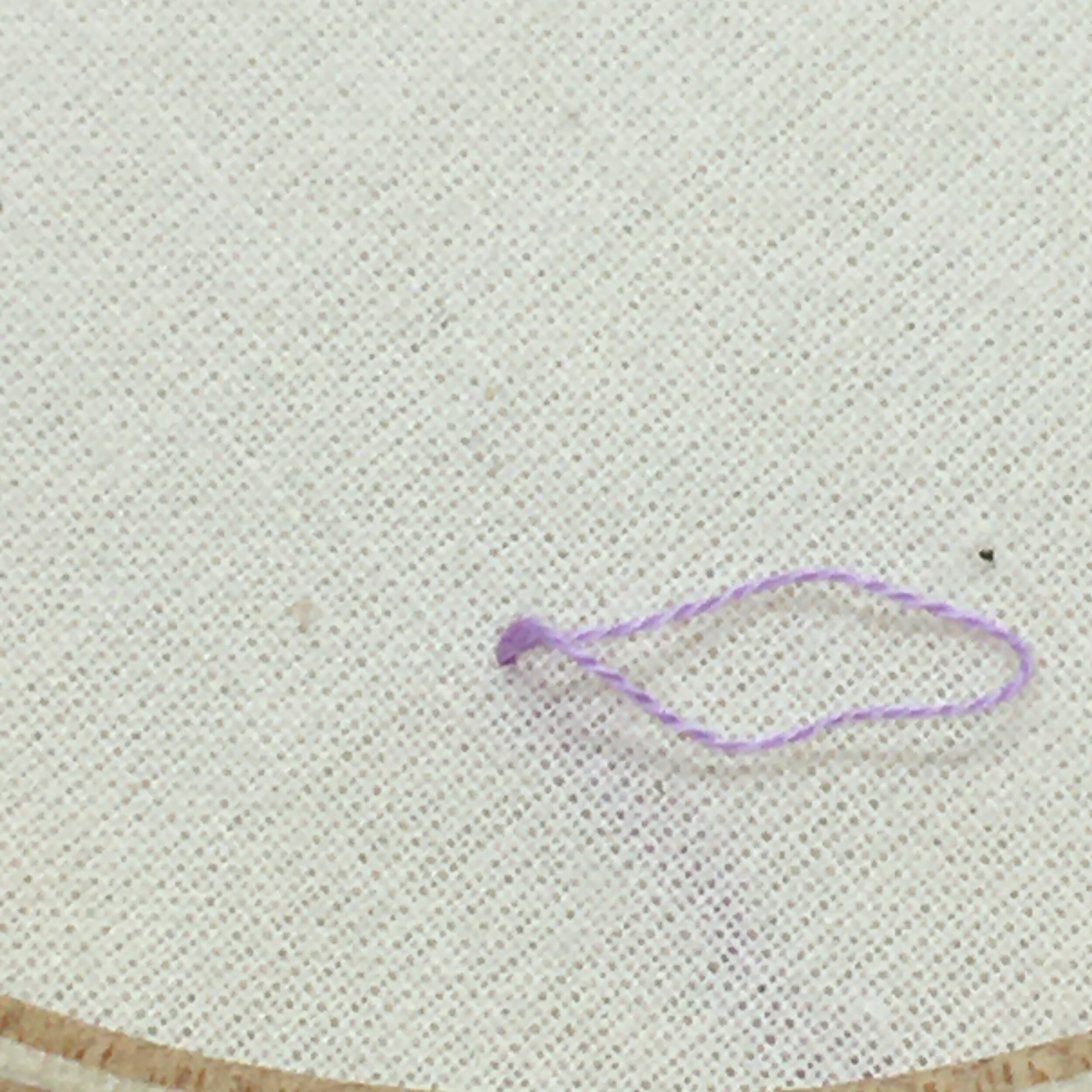 Using Loop Start to Secure Thread in Cross Stitch