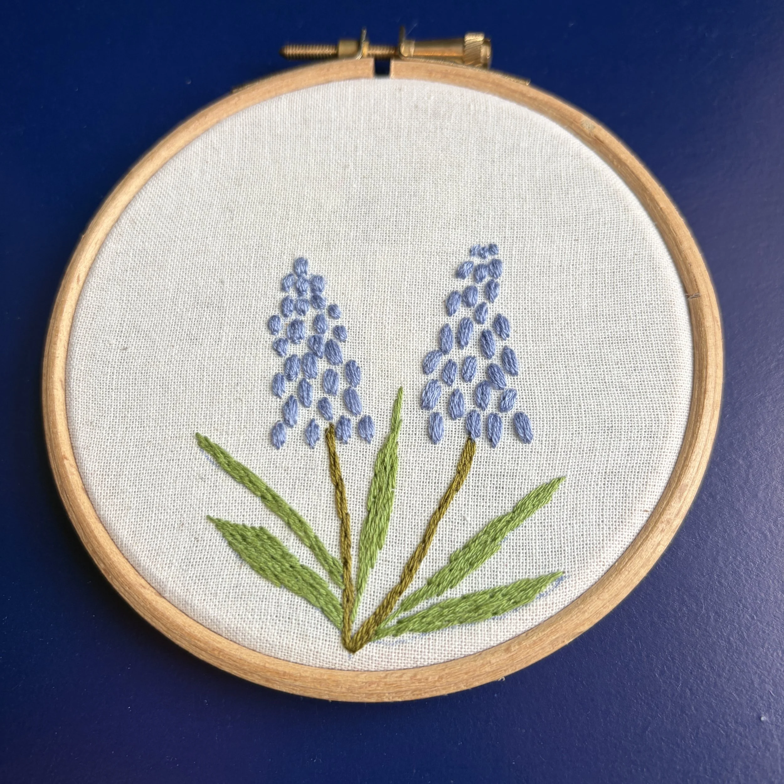 On a dark blue background there is an embroidery hoop. In the hoop is calico fabric and on the calico fabric is embroidered muscari/grape hyacinth