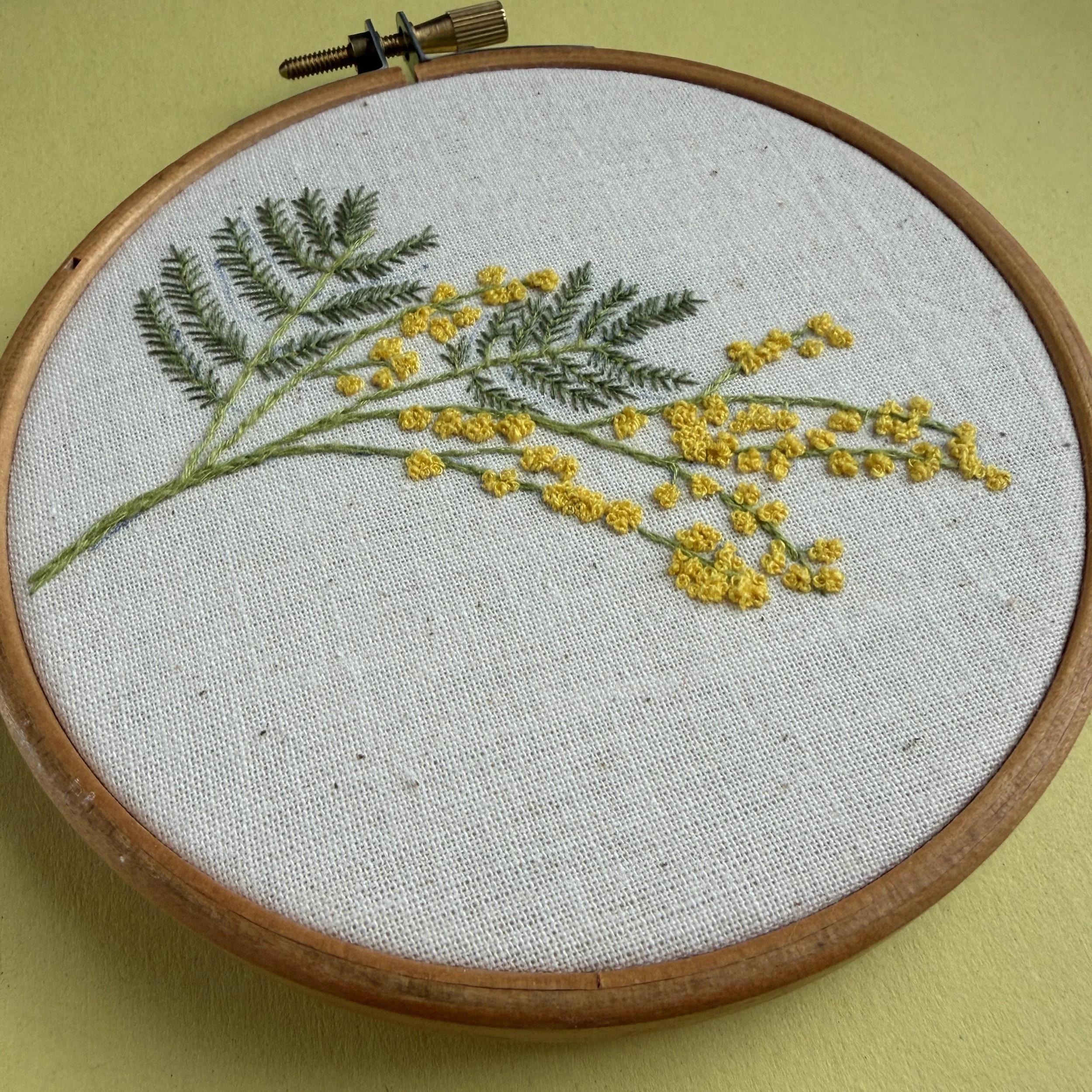 A picture of an embroidery hoop. In the hoop is calico fabric and on the fabric is stiched a mimosa design with green feathery leaves and yellow flowers