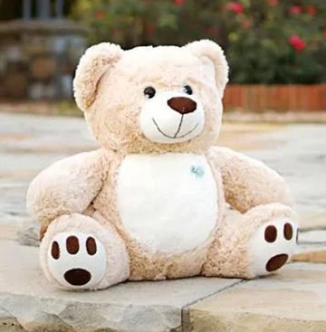 Molly-Bears-Sitting-Stone.jpg