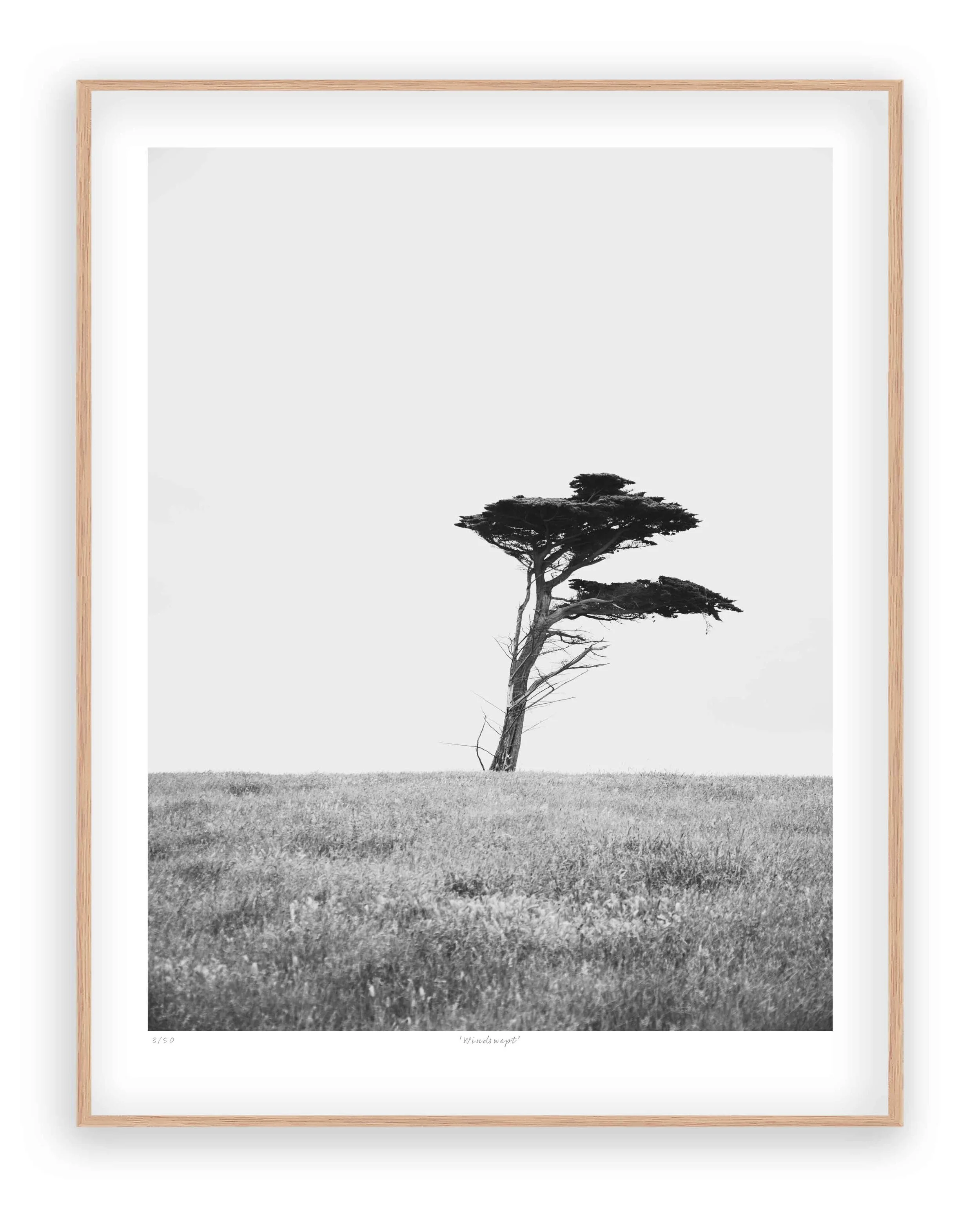 Windswept - Raw Frame.jpg