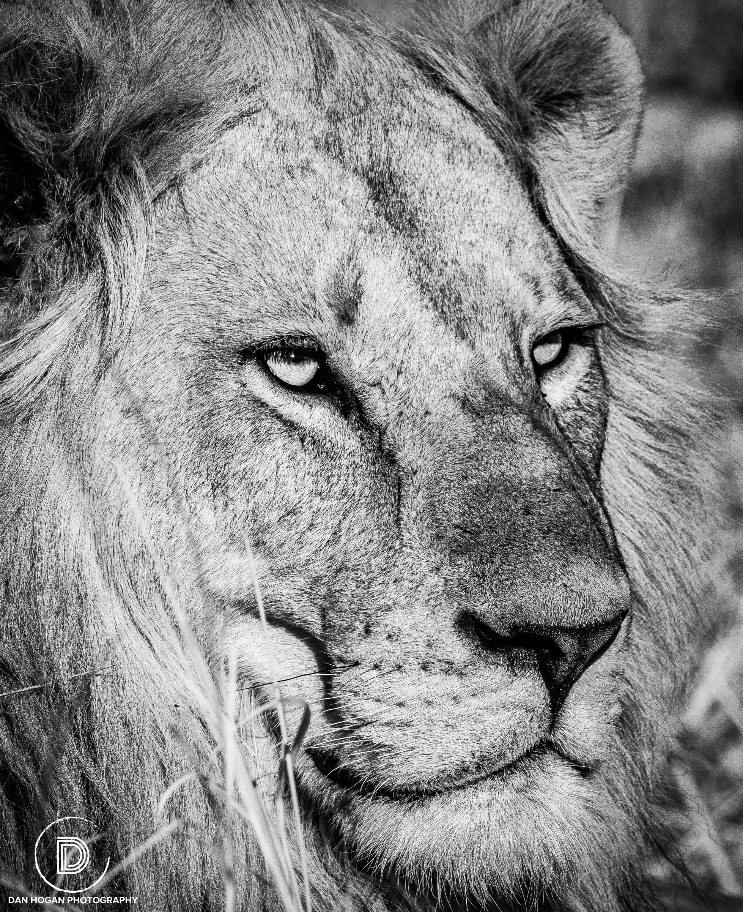 Botswana_June_2017 (755 of 6179).JPG