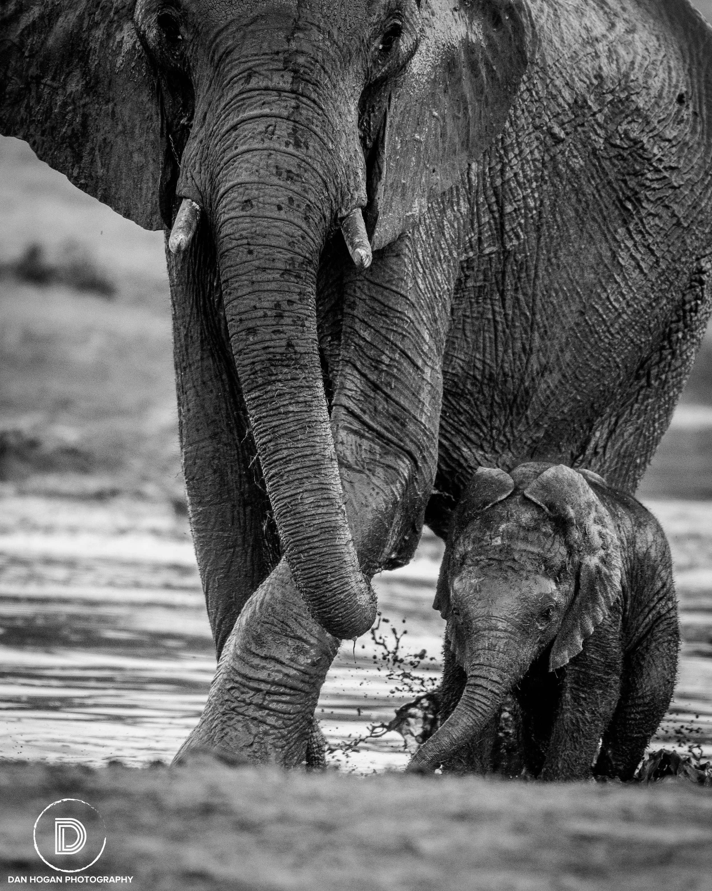 Botswana_June_2017 (4312 of 6179).JPG