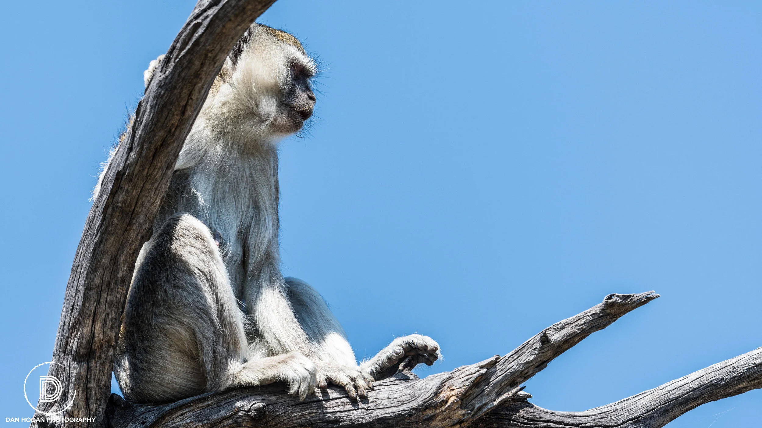 Botswana_June_2017 (448 of 6179).JPG