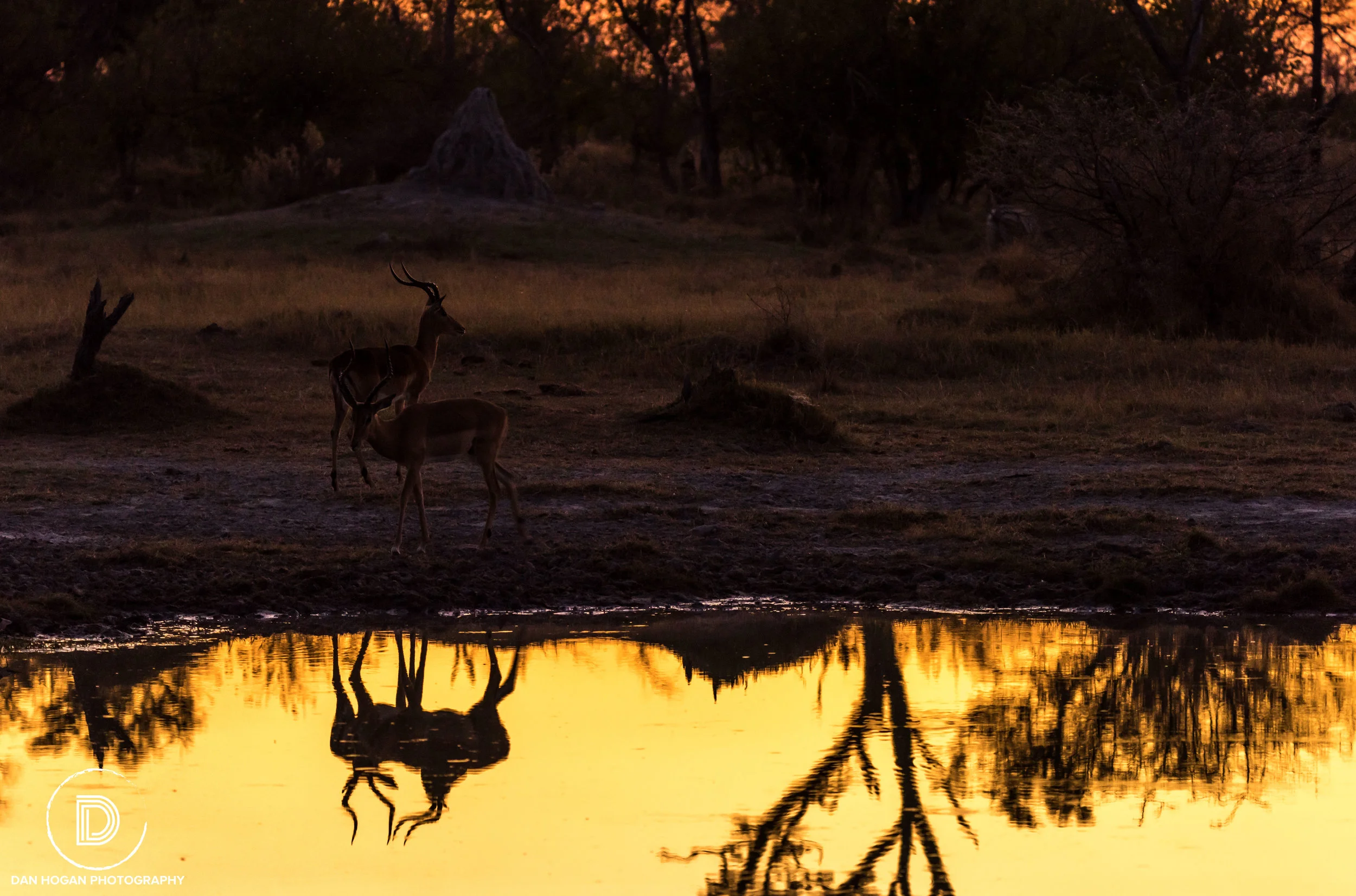 Botswana_June_2017 (219 of 6179).JPG