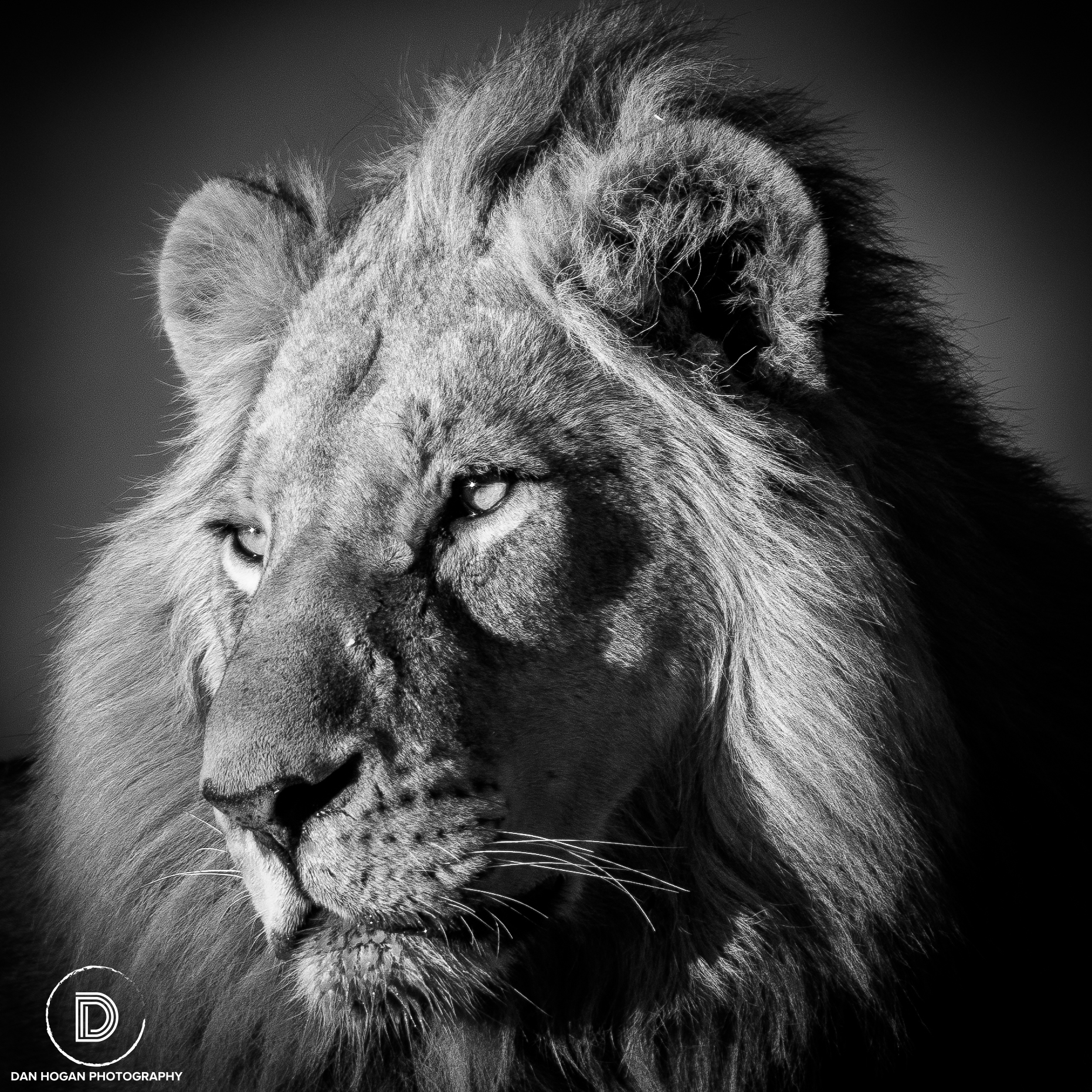 Botswana_June_2017 (1388 of 6179).JPG