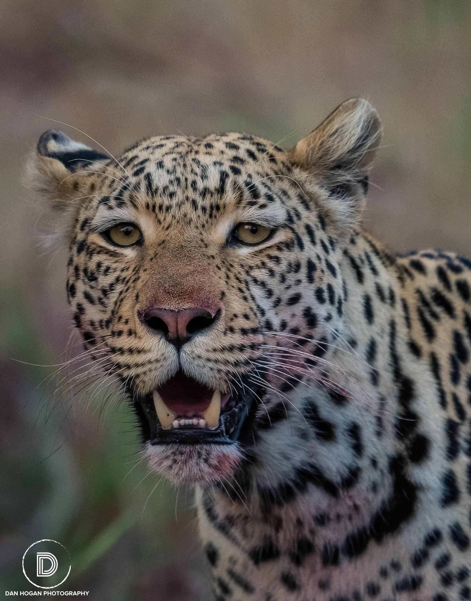 Botswana_June_2017 (3136 of 6179).JPG