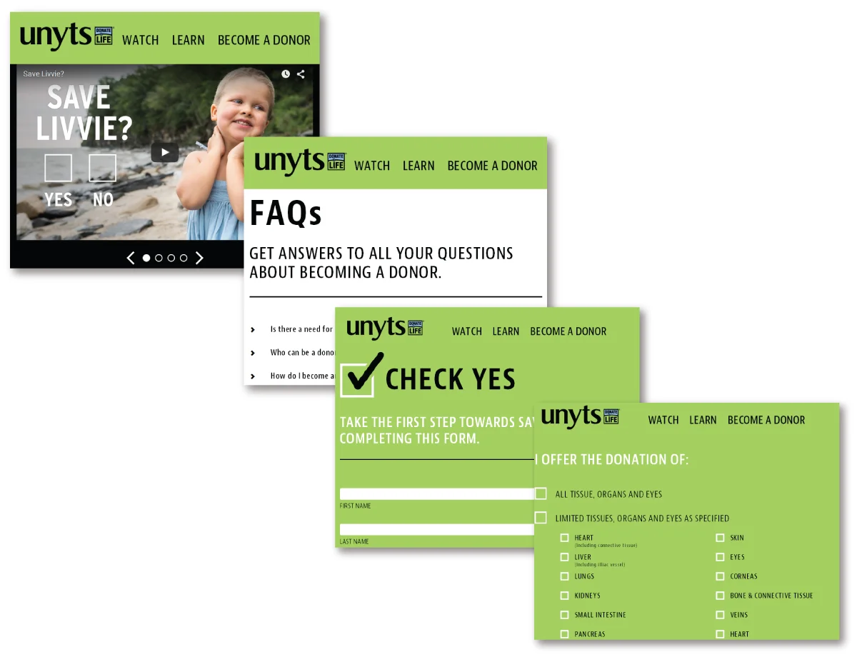 CheckYesWebsite.jpg