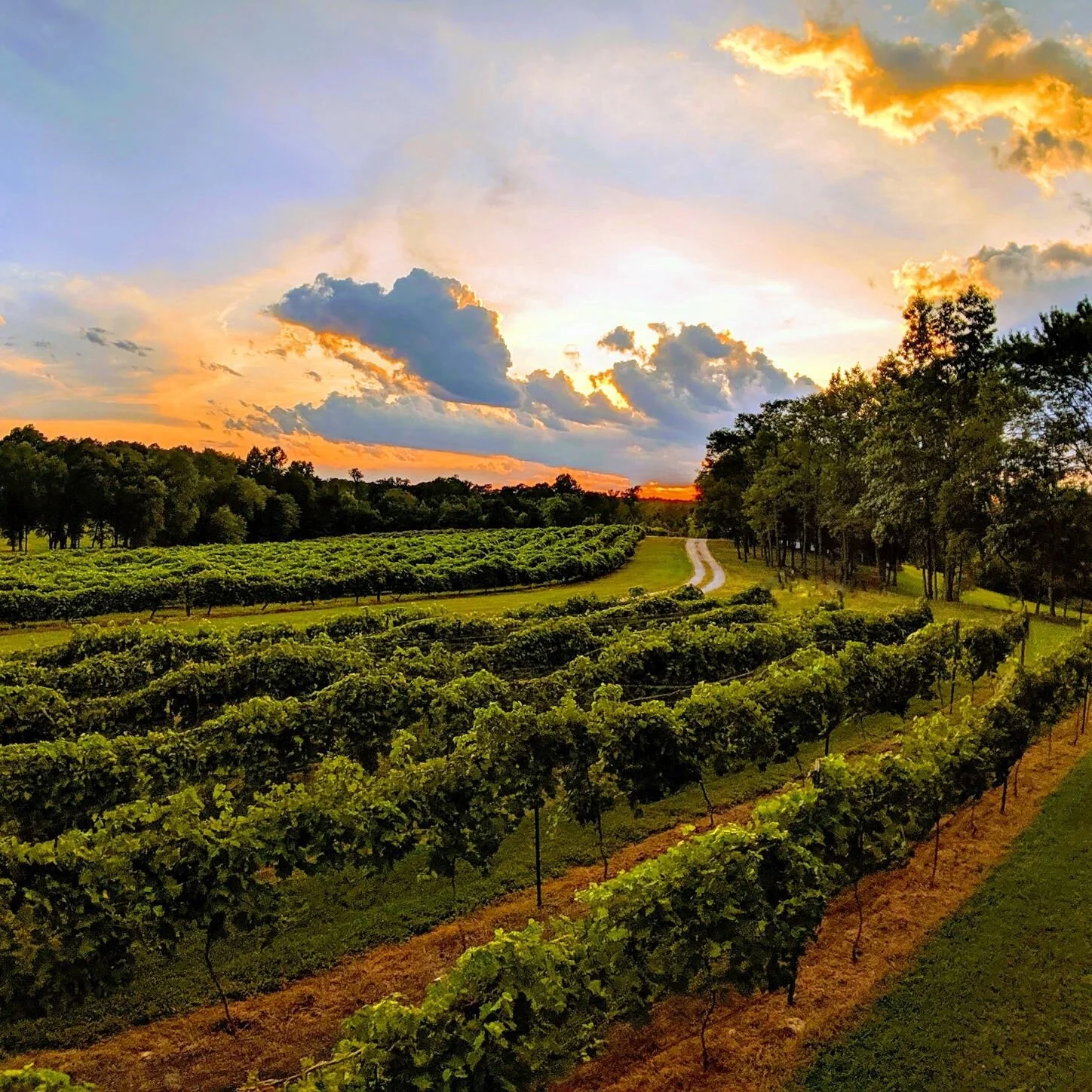 BYRD CELLARS — RVA West Craft Beverage Trail