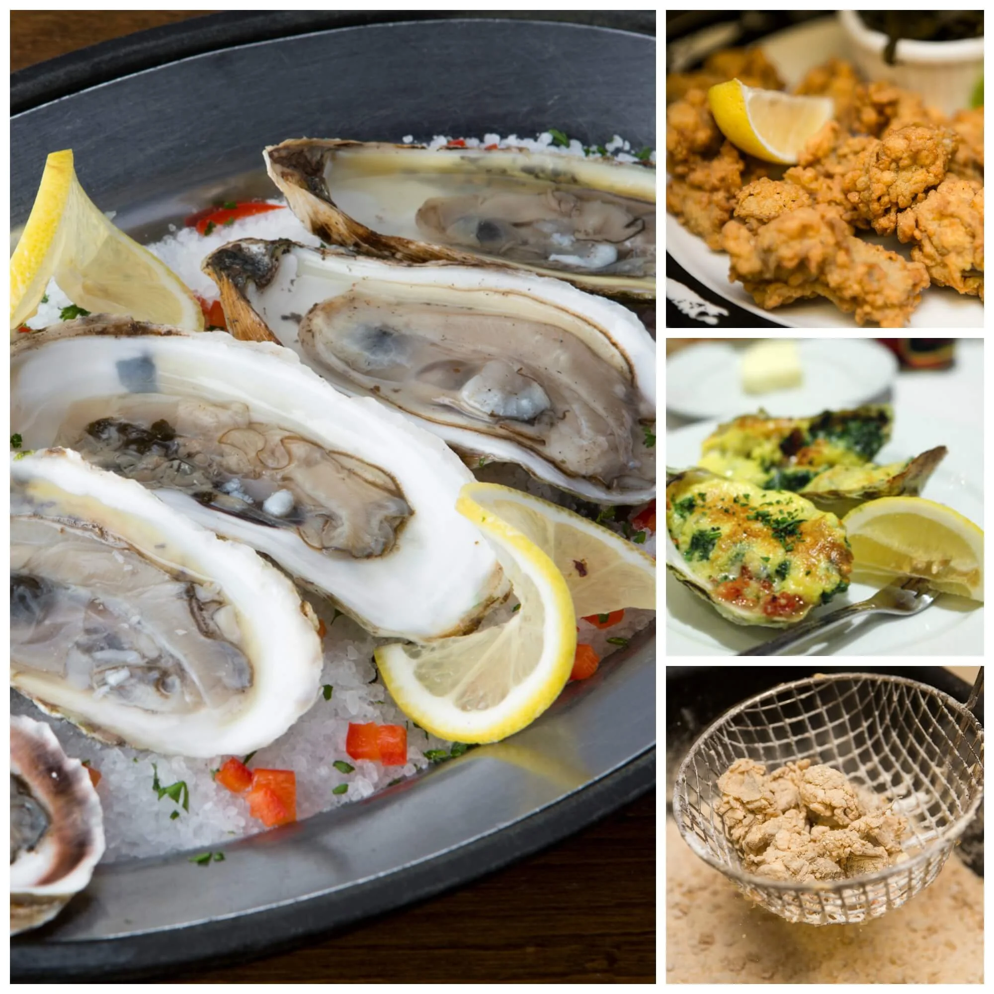 Oyster Collage.jpg