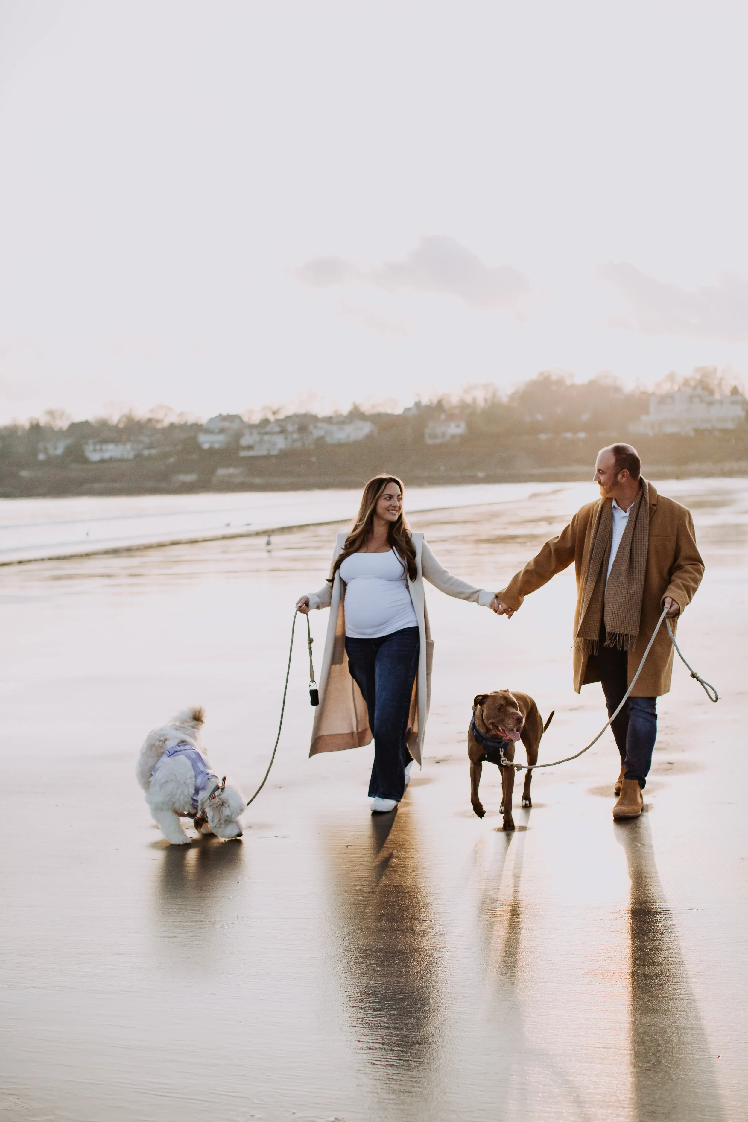 A couple walking on the beach with two dogs during sunset, holding hands and enjoying a leisurely stroll.