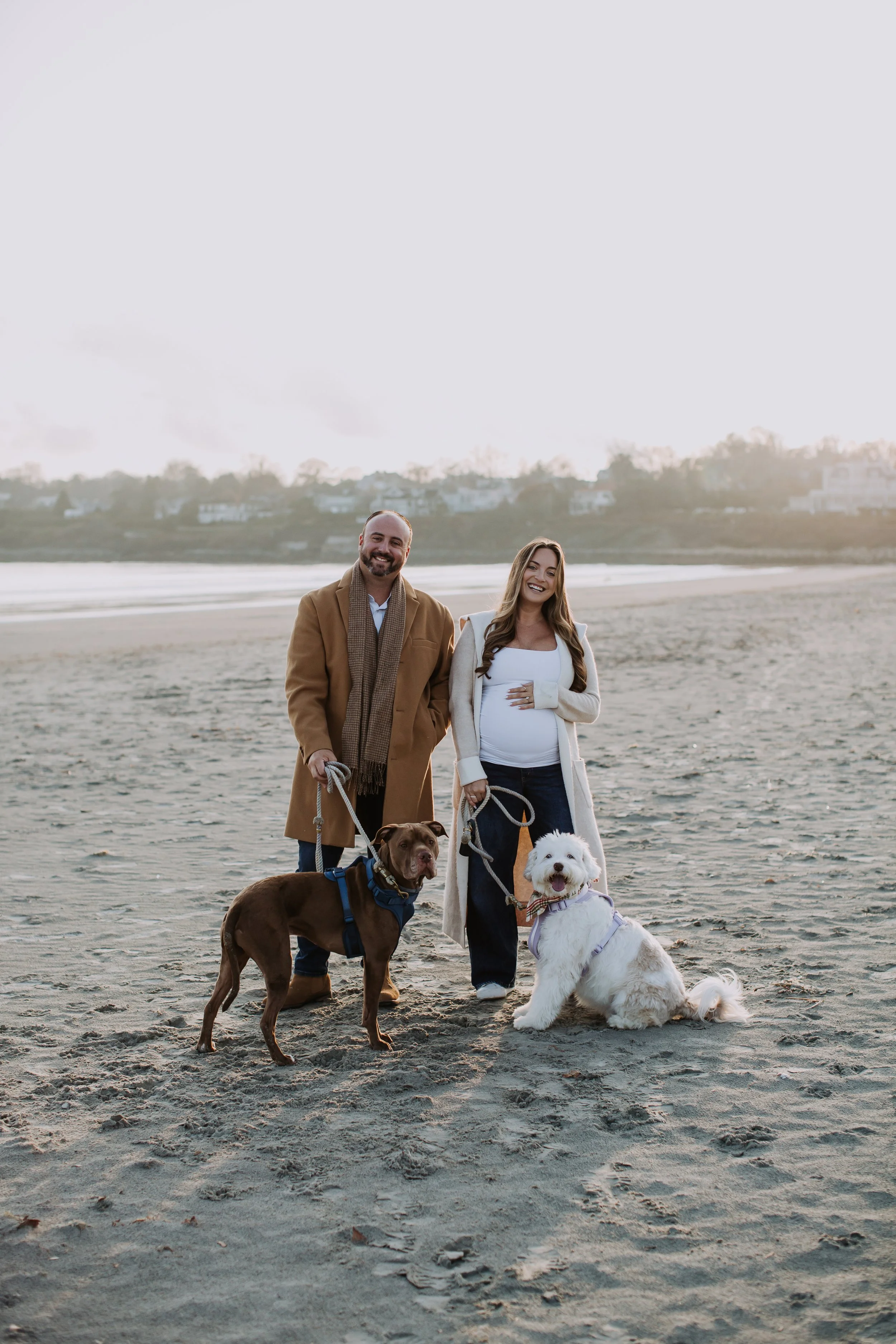 A happy couple with their two dogs on a sandy beach during sunset.
