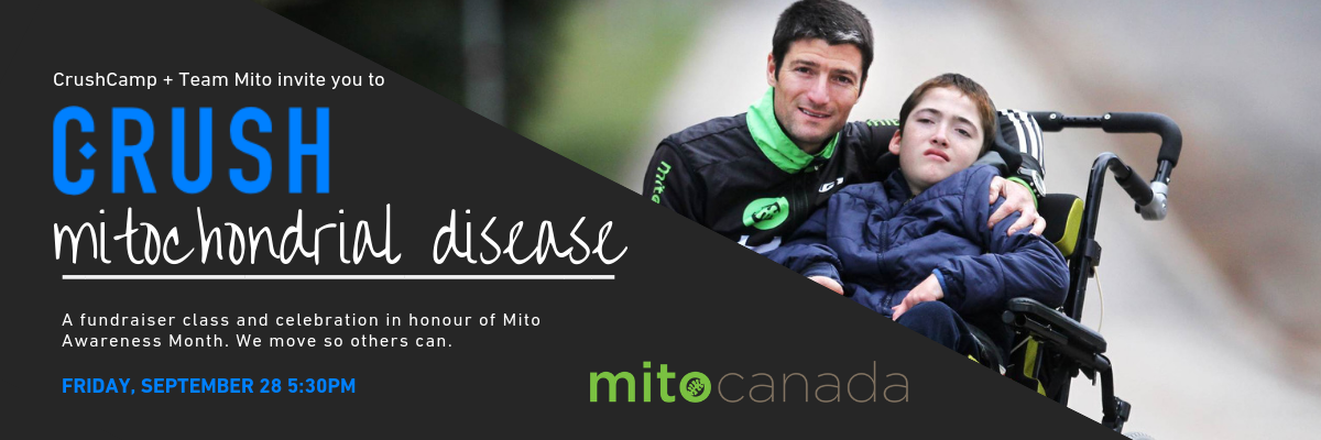 Crush Mito web banner (2).png