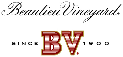 BV_NV_logo.jpg