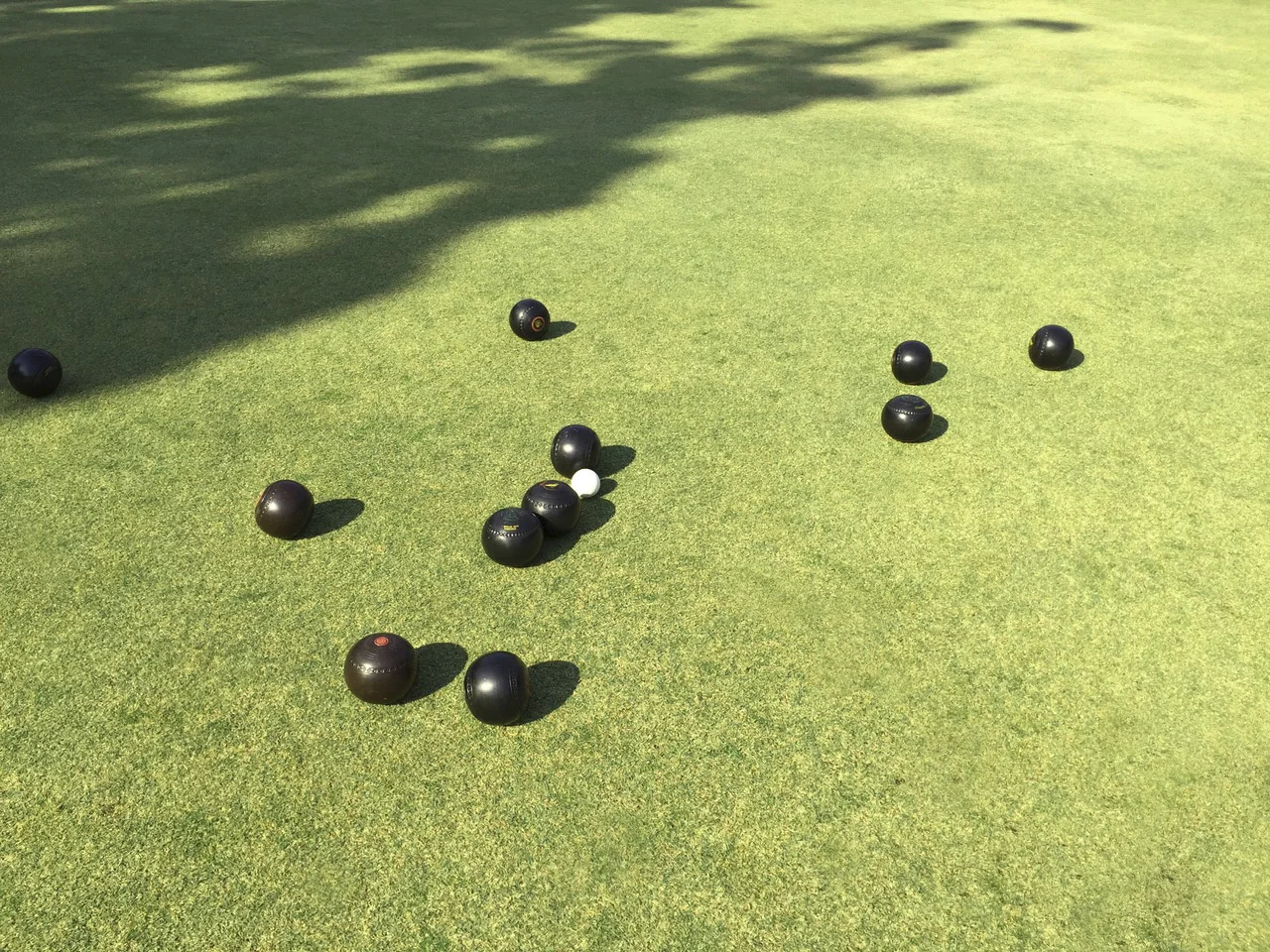 Bowls + Jack.jpg