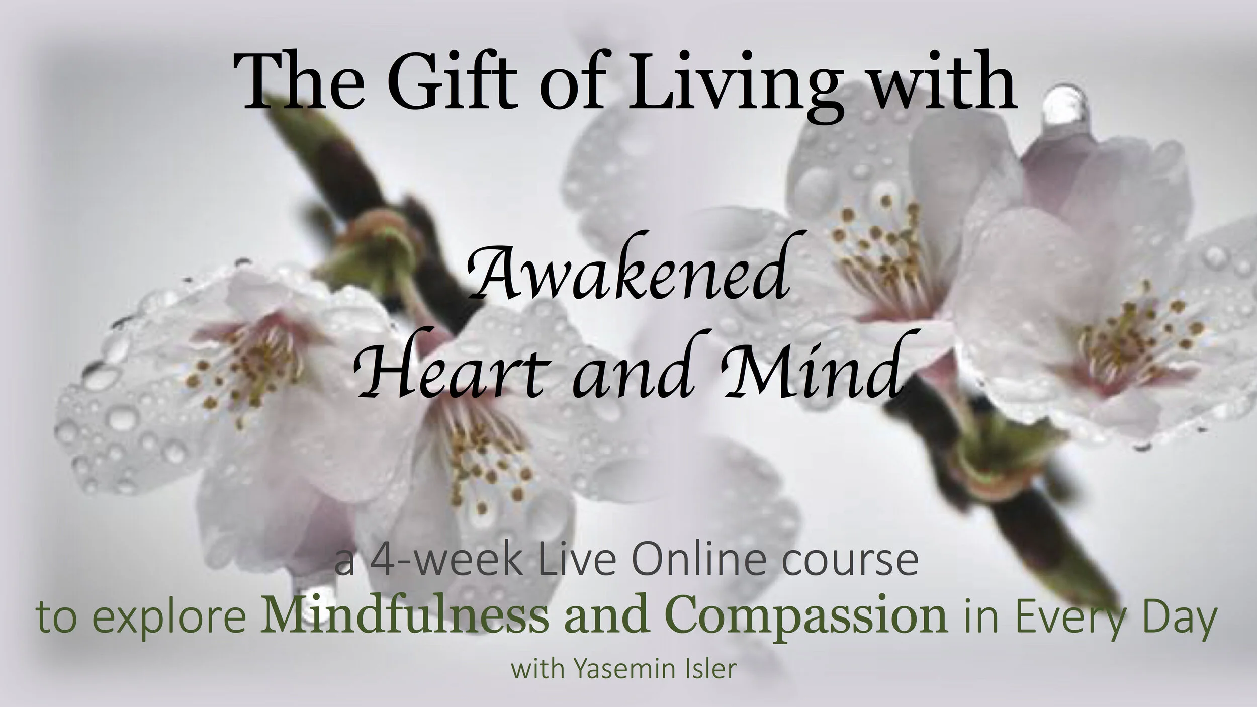 Living-with-Awakened-Heart-Mind-Yasemin-IslerI.jpg