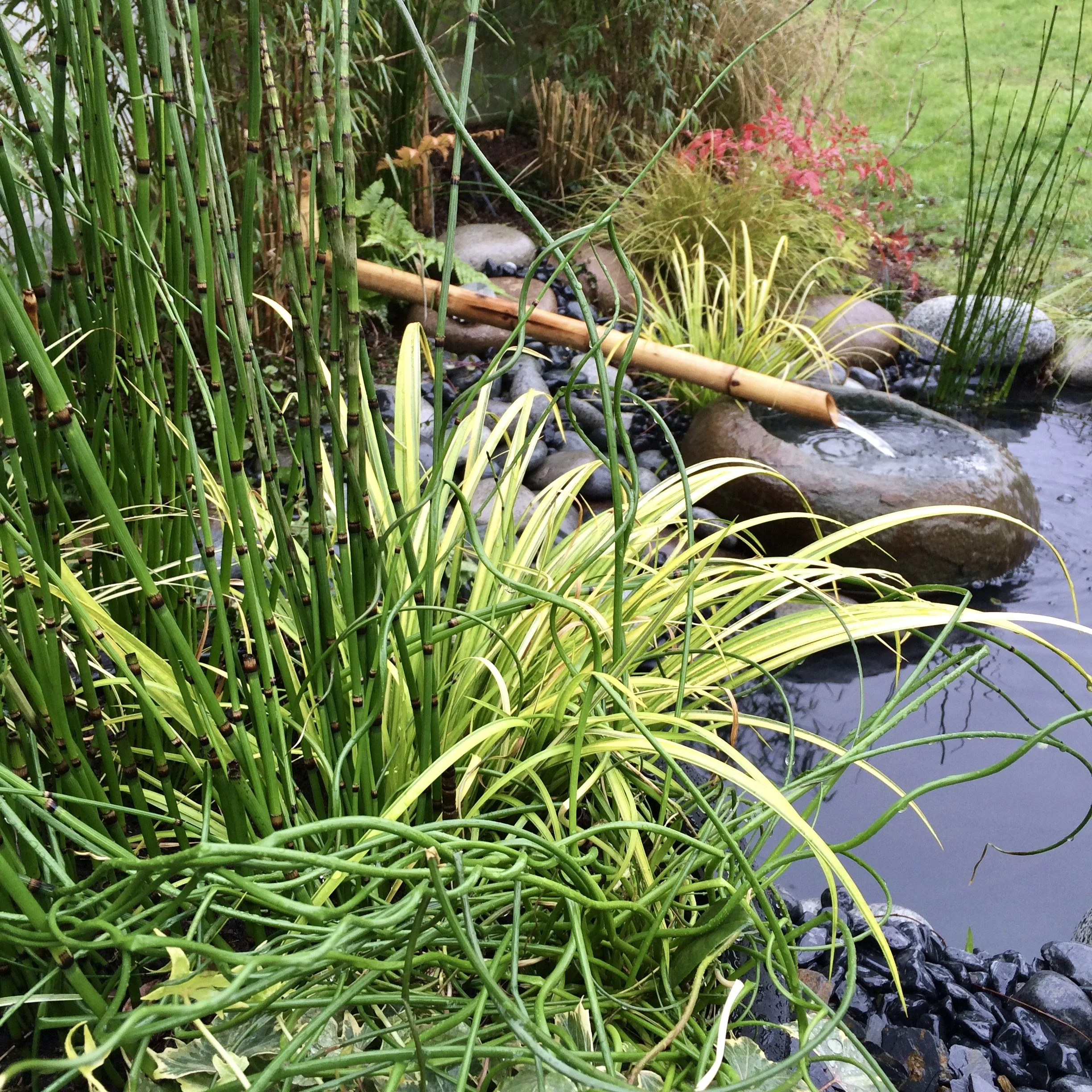 JAPANESE BASIN VAL-DE-MARNE