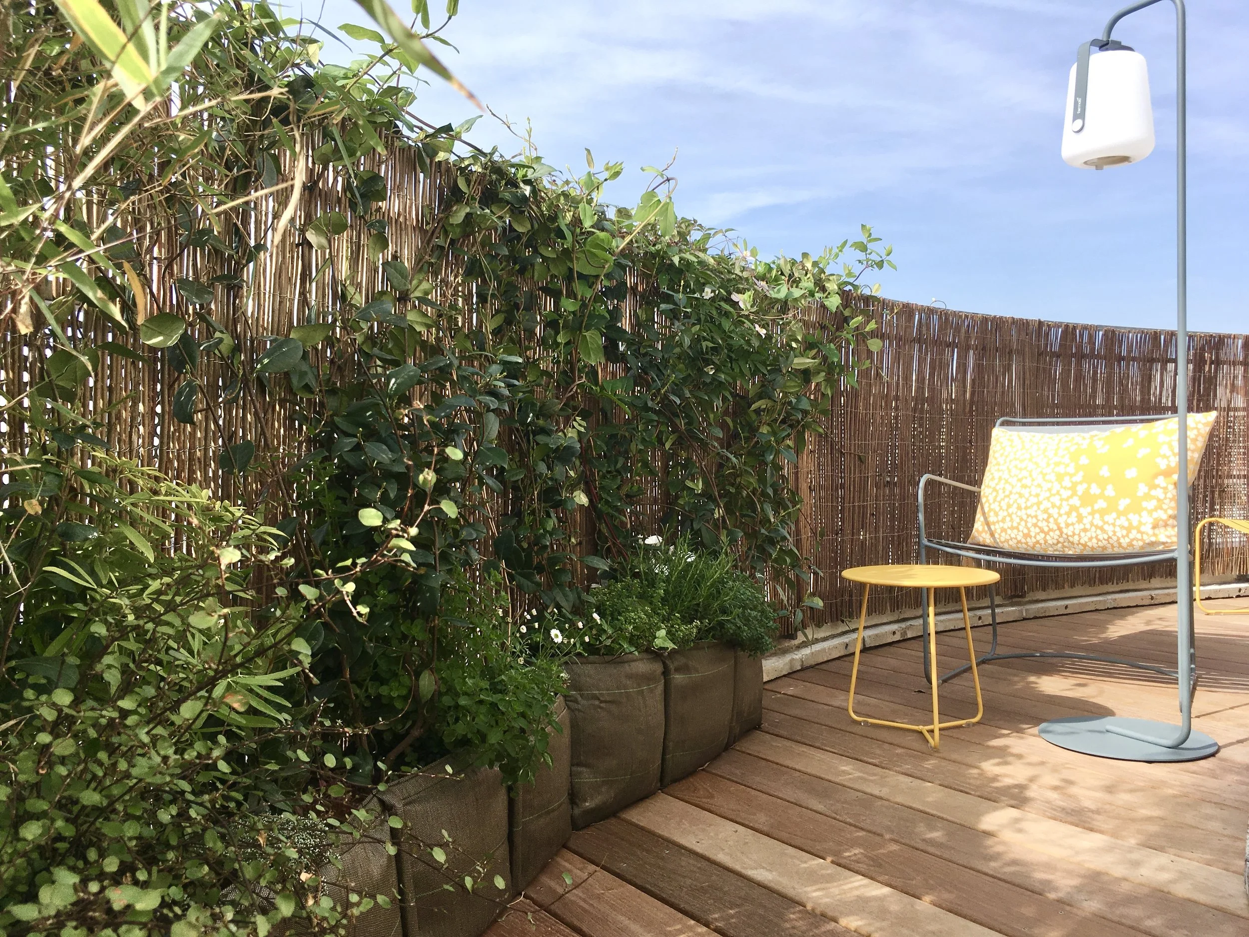 TERRACE BELLEVILLE PARIS XX