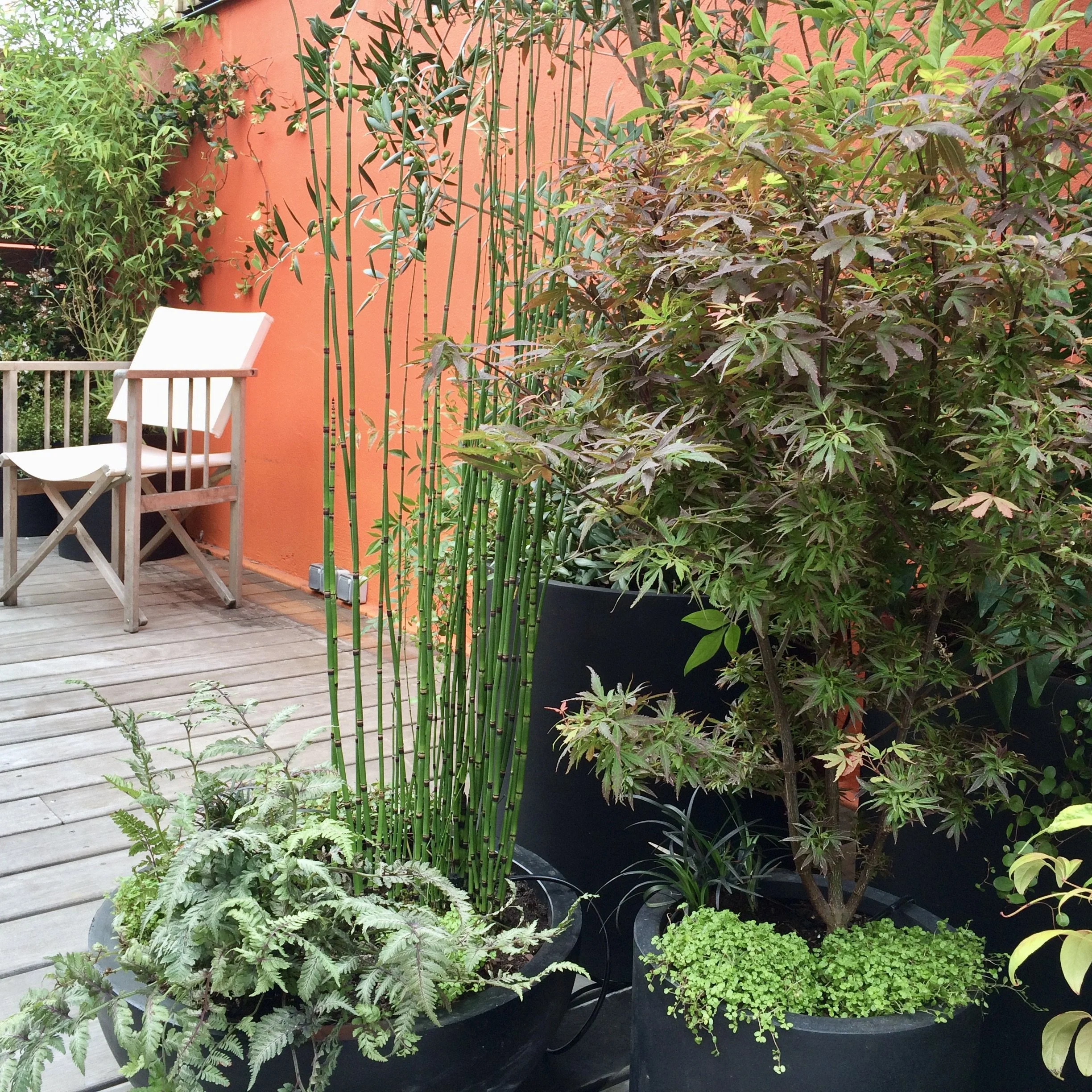 TERRACE BAGNOLET
