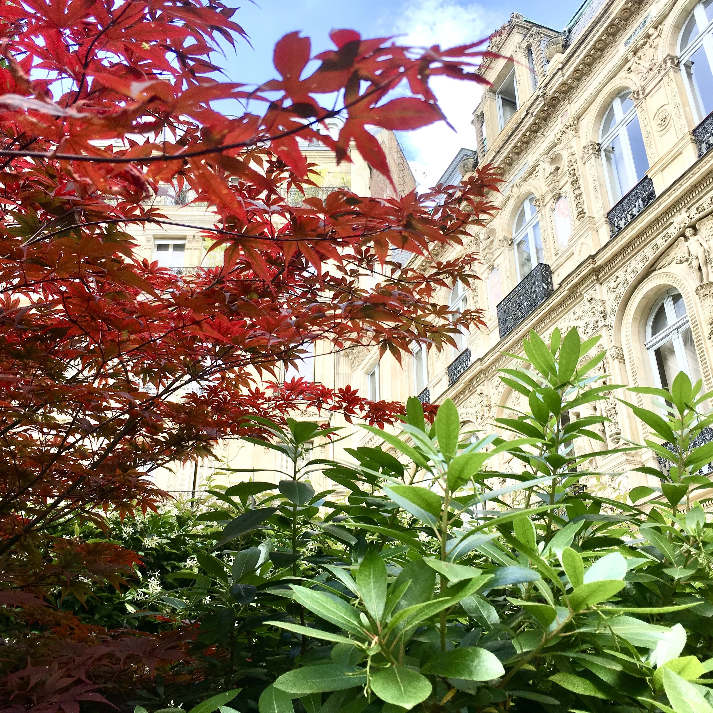 GARDEN 26 PLACE SAINT-GEORGES PARIS IX