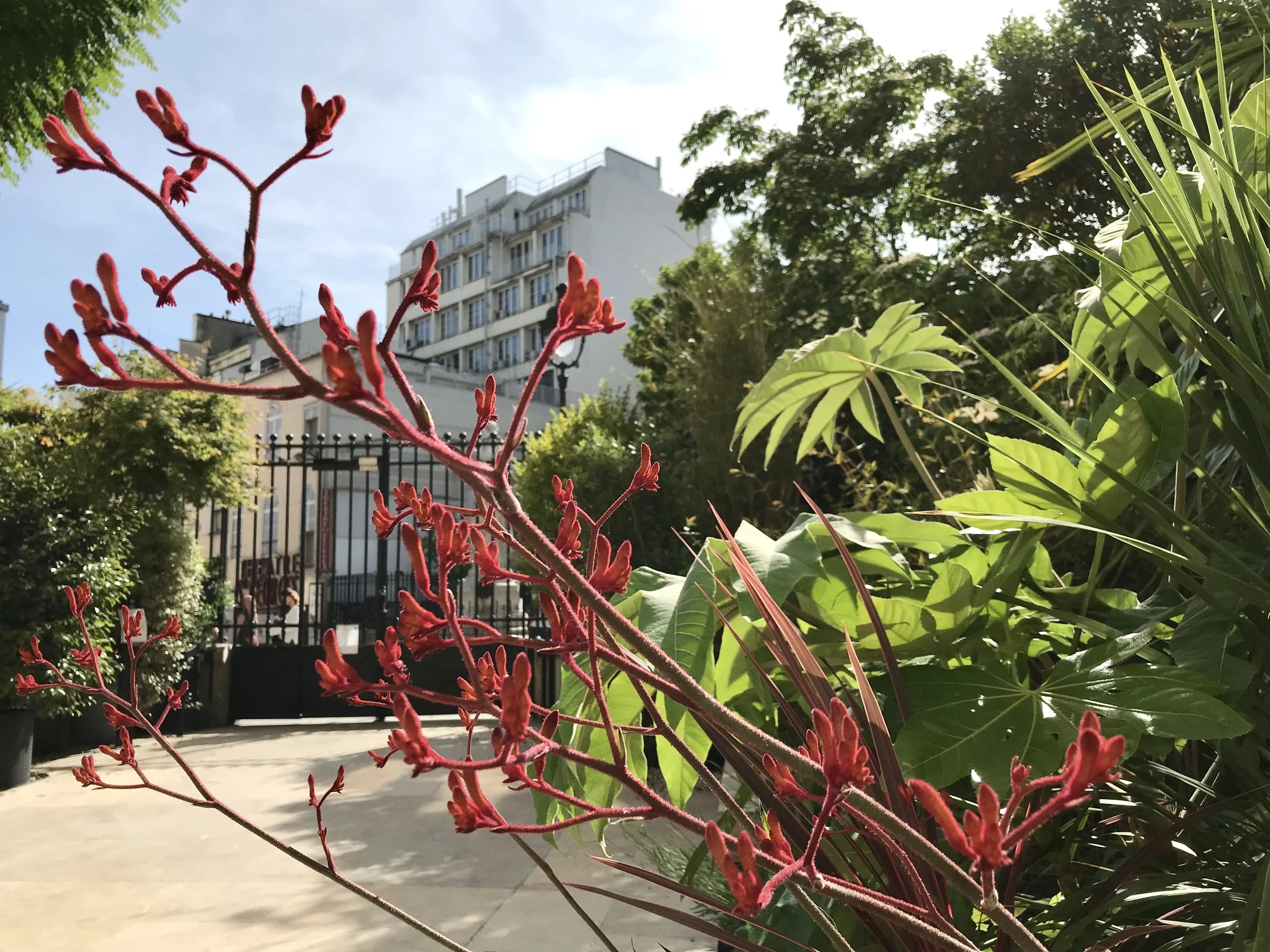 GARDEN 28 PLACE SAINT-GEORGES PARIS IX