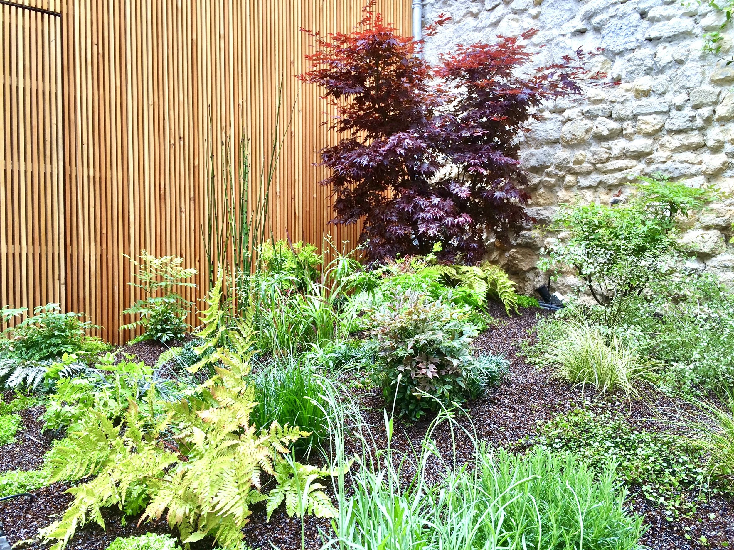Contemporary Garden Bagnolet