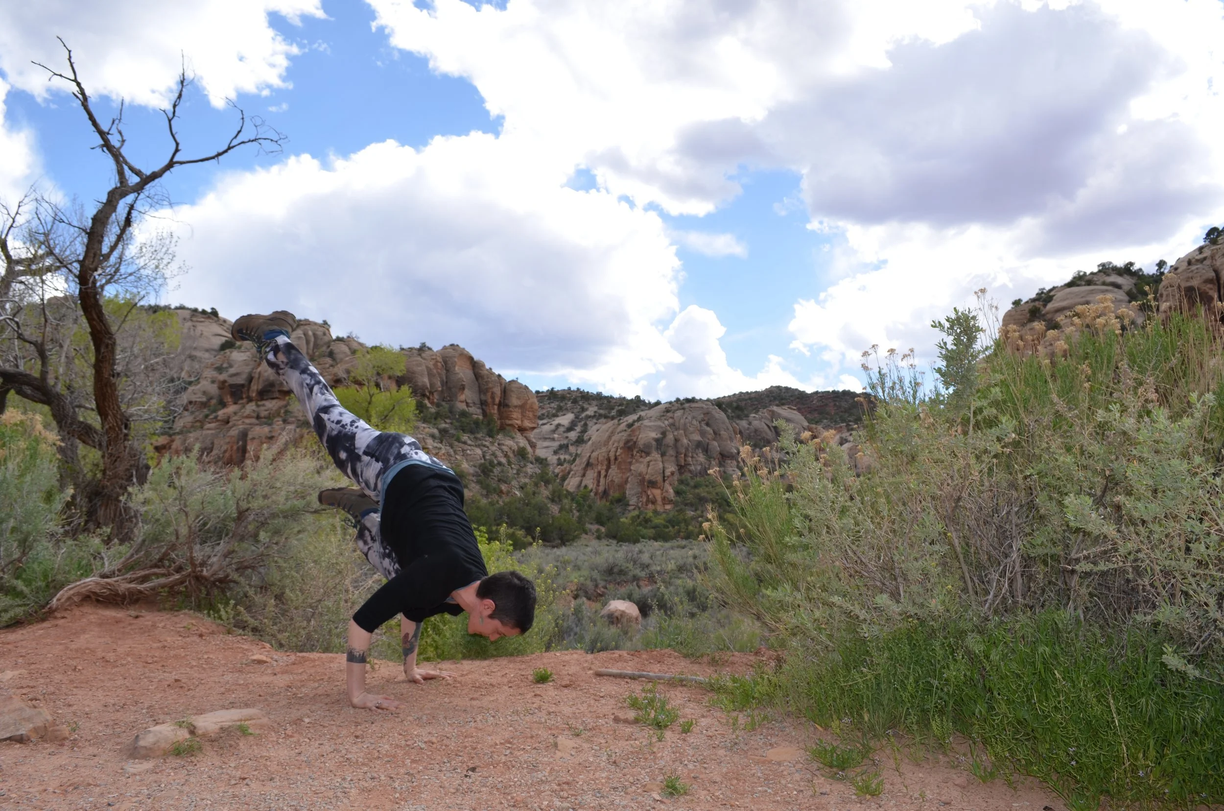 Yoga Master Class | Santa Fe