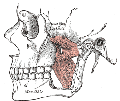 Internal Jaw Work