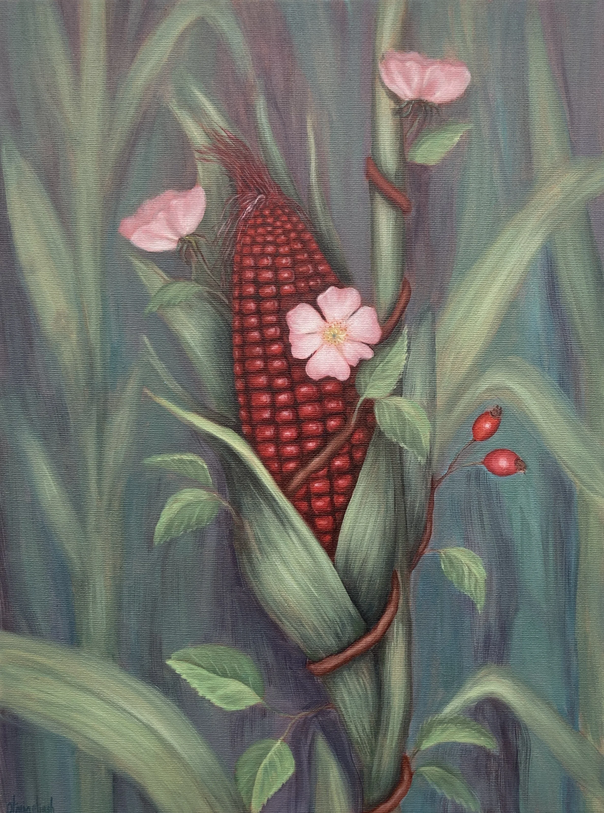 “Mestizaje II: Rosa mays / Smíšené rasy II: Rosa mays”