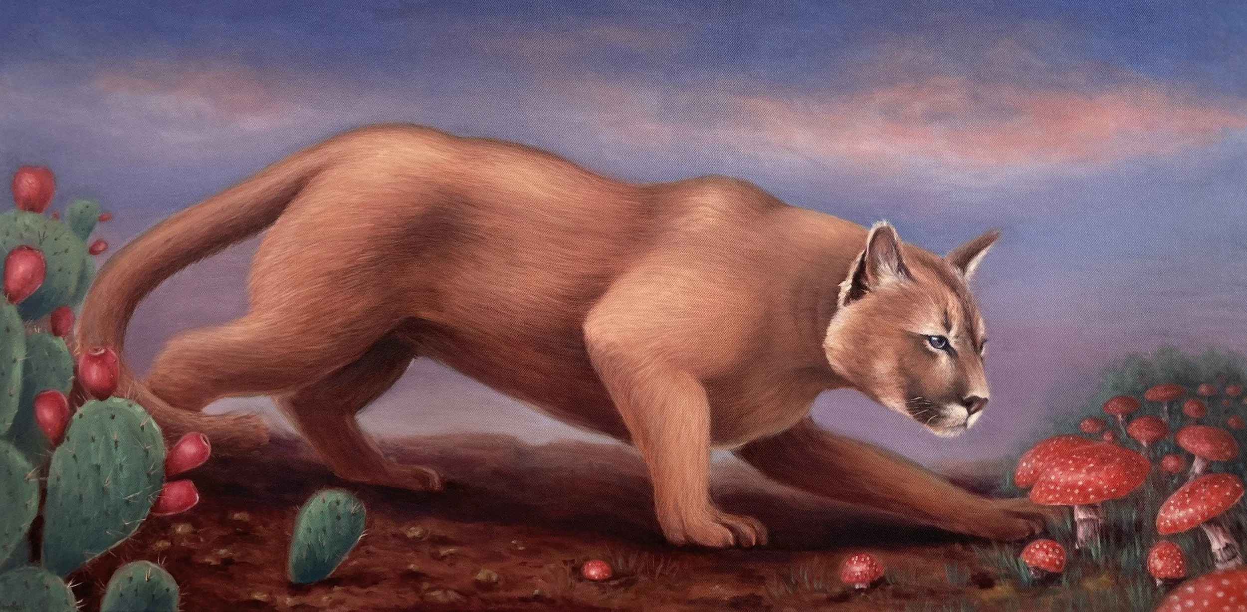 “Paso fronterizo / Hraniční přechod”