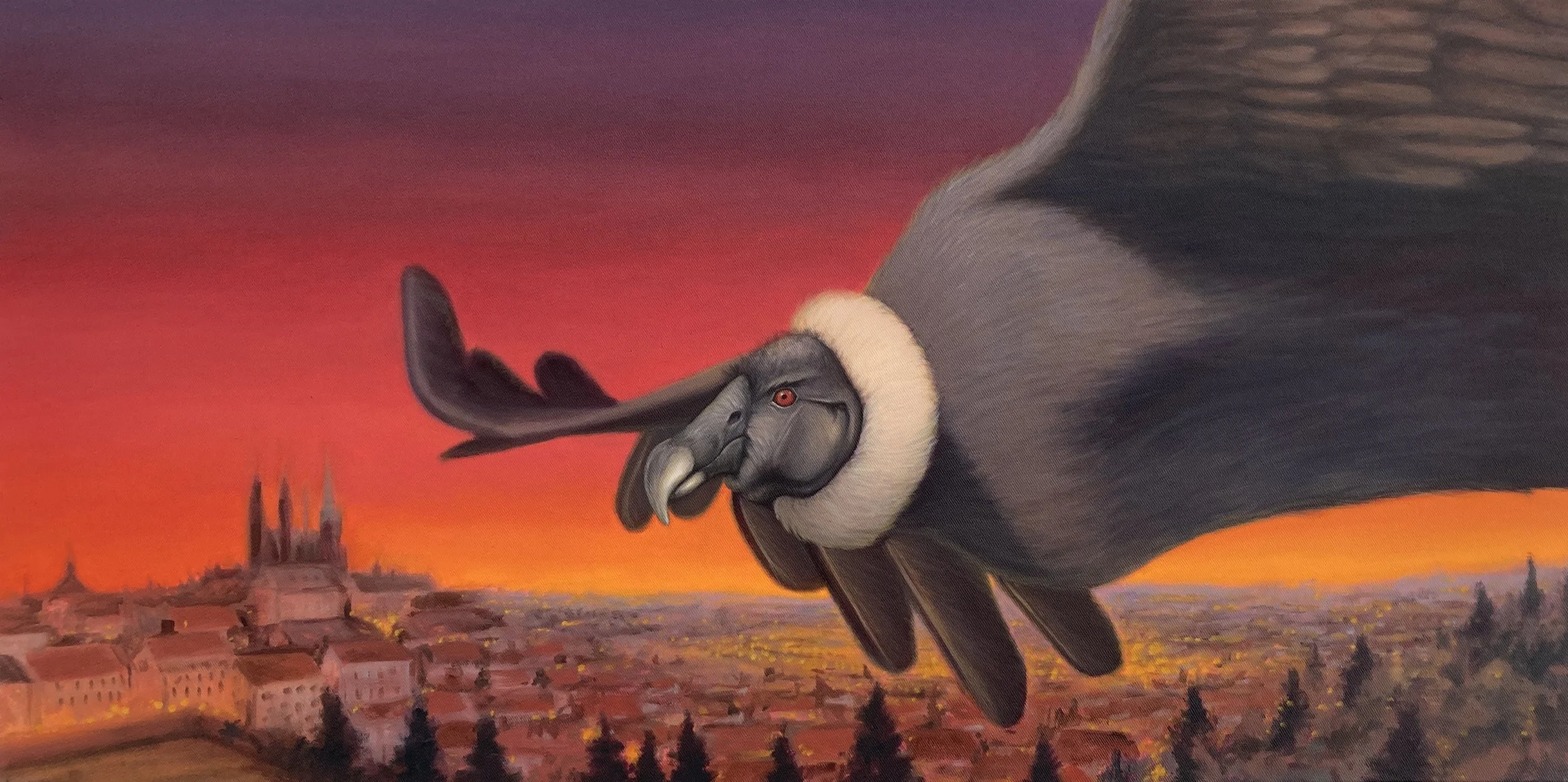 “Descubrimiento / Objevení”