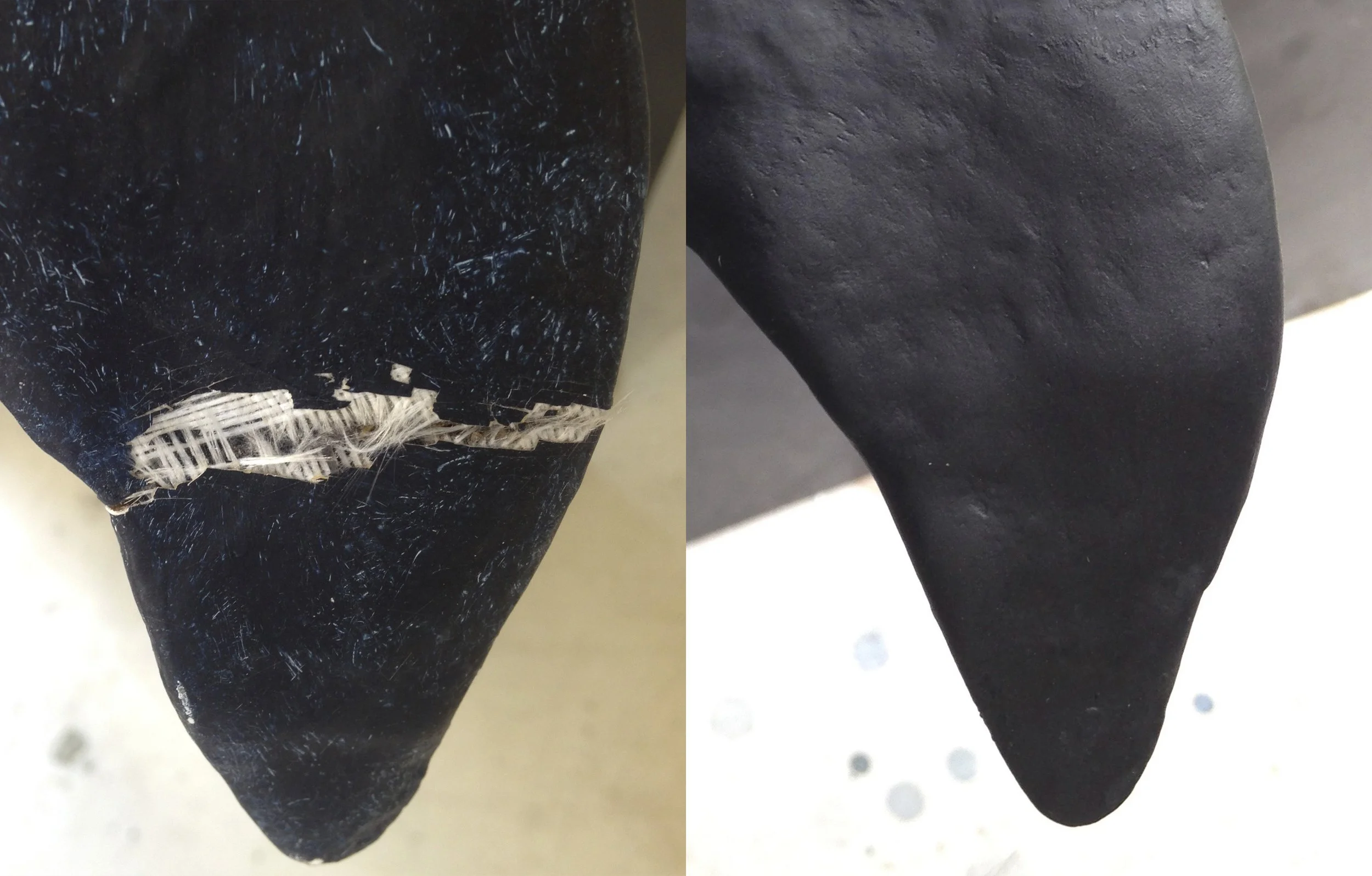 Lagenorynchus albirostris