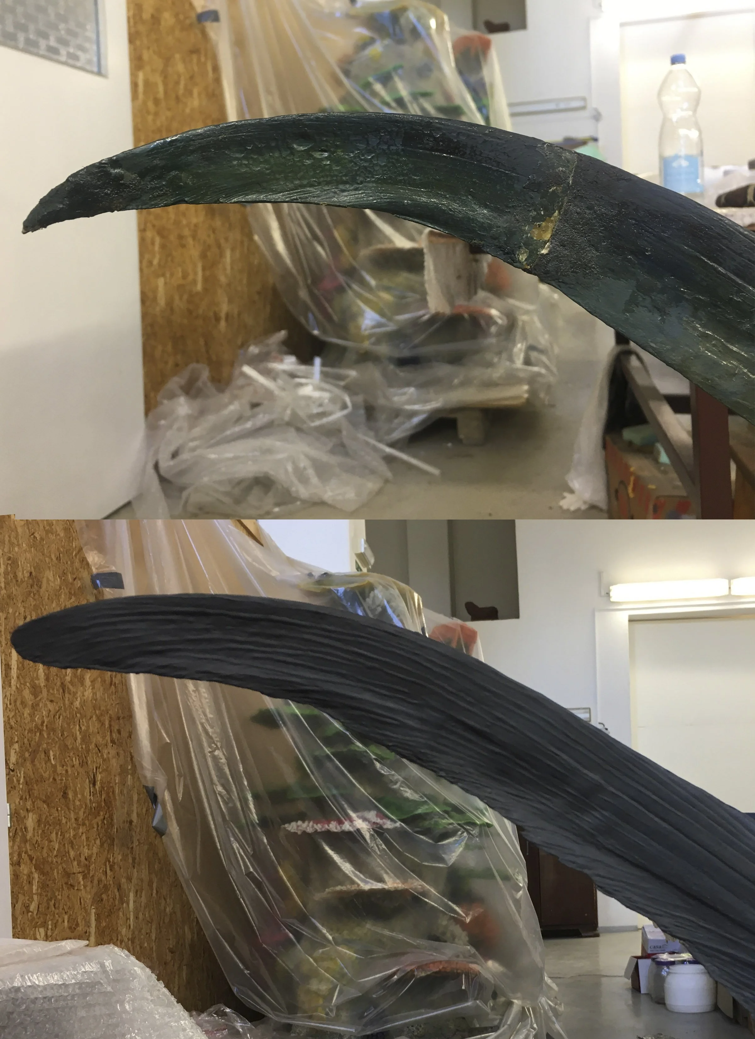 Istiophorus platypterus