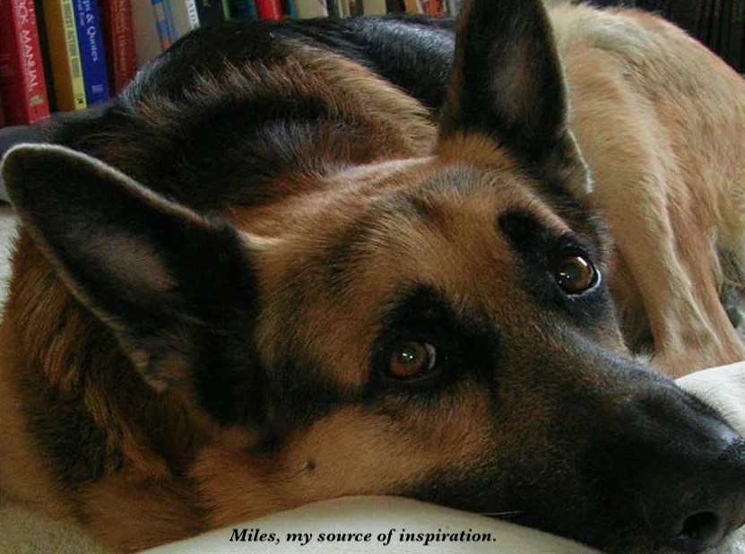 Miles, my source of inspiration for the creation of the Classical Music Therapy for Pets Album Series