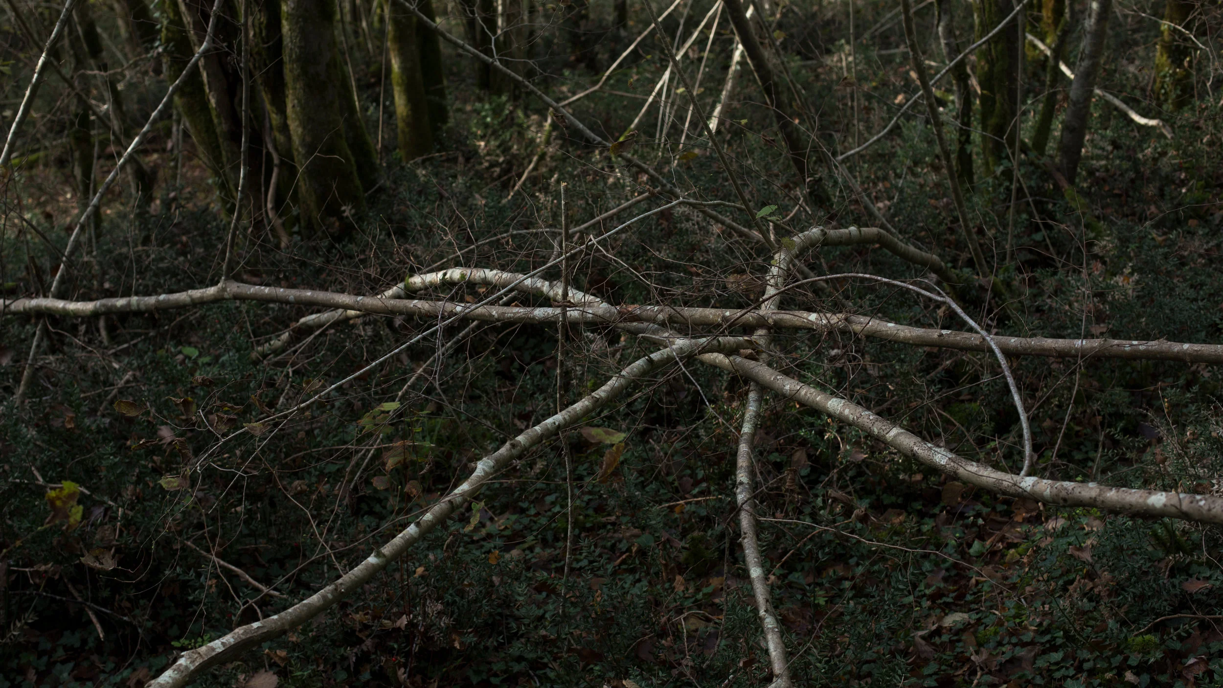 Pilger der Postmoderne