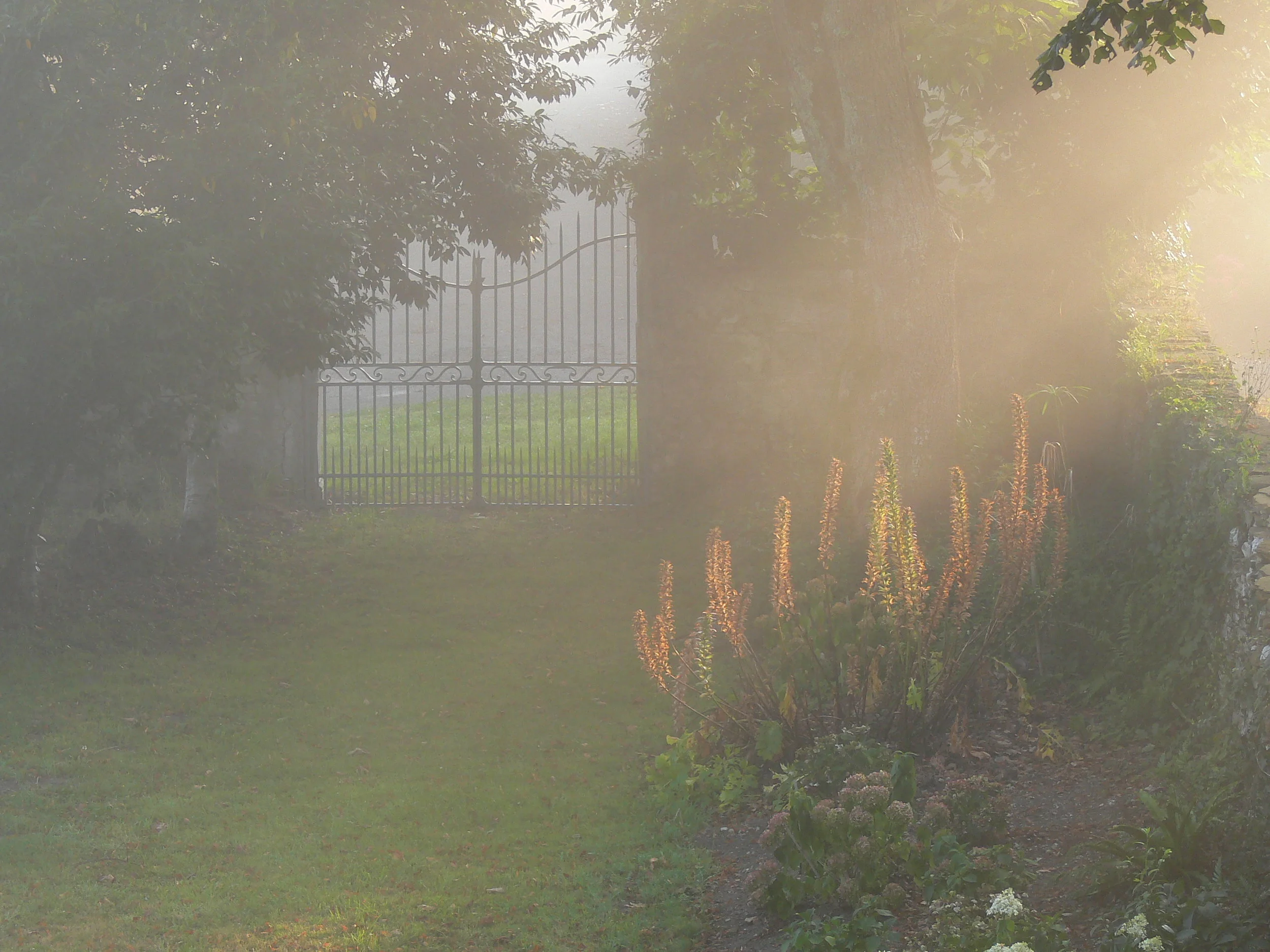 Kein Ende dem Staunen