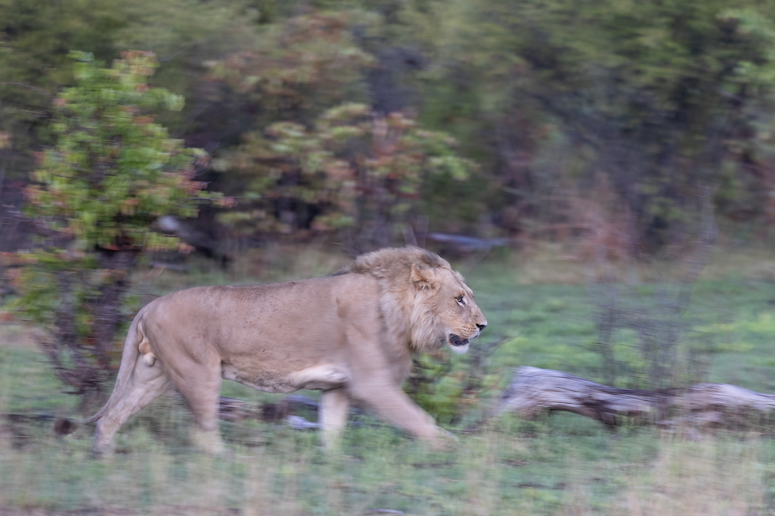 On the hunt ...